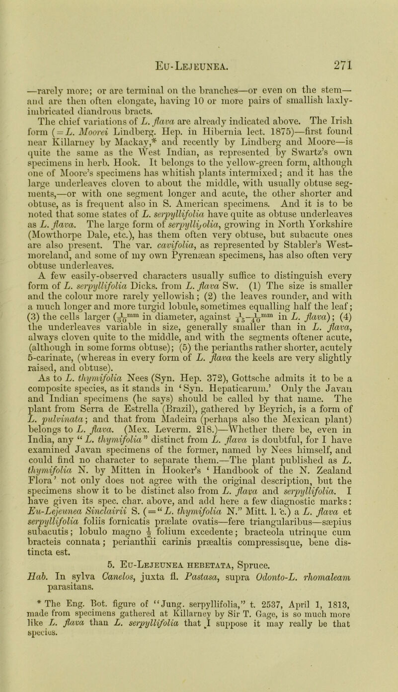 —rarely more; or are terminal on the branches—or even on the stem— and are then often elongate, having 10 or more pairs of smallish laxly- imbricated diandrons bracts. The chief variations of L. flava are already indicated above. The Irish form (= L. Moorei Lindberg. Hep. in Hibernia lect. 1875)—first found near Ivillarney by Mackay,* and recently by Lindberg and Moore—is quite the same as the West Indian, as represented by Swartz’s own specimens in herb. Hook. It belongs to the yellow-green form, although one of Moore’s specimens has whitish plants intermixed; and it has the large underleaves cloven to about the middle, with usually obtuse seg- ments,—or with one segment longer and acute, the other shorter and obtuse, as is frequent also in S. American specimens. And it is to be noted that some states of L. serpyllifolia have quite as obtuse underleaves as L. flava. The large form of serpyllijolia, growing in North Yorkshire (Mowthorpe Dale, etc.), has them often very obtuse, but subacute ones are also present. The var. cavifolia, as represented by Stabler’s West- moreland, and some of my own Pyrensean specimens, has also often very obtuse underleaves. A few easily-observed characters usually suffice to distinguish every form of L. seipyllifolia Dicks, from L. flava Sw. (1) The size is smaller and the colour more rarely yellowish; (2) the leaves rounder, and with a much longer and more turgid lobule, sometimes equalling half the leaf; (3) the cells larger (^omm i11 diameter, against in L. flava); (4) the underleaves variable in size, generally smaller than in L. flava, always cloven quite to the middle, and with the segments oftener acute, (although in some forms obtuse); (5) the perianths rather shorter, acutely 5-carinate, (whereas in every form of L. flava the keels are very slightly raised, and obtuse). As to L. tliymifolia Nees (Syn. Hep. 372), Gottsche admits it to be a composite species, as it stands in ‘Syn. Hepaticarum.’ Only the Javan and Indian specimens (he says) should be called by that name. The plant from Serra de Estrella (Brazil), gathered by Beyrich, is a form of L. pulvinata; and that from Madeira (perhaps also the Mexican plant) belongs to L. flava. (Mex. Leverm. 218.)—Whether there be, even in India, any “ L. tliymifolia ” distinct from L. flava is doubtful, for I have examined Javan specimens of the former, named by Nees himself, and could find no character to separate them.—The plant published as L. tliymifolia N. by Mitten in Hooker’s ‘ Handbook of the N. Zealand Flora’ not only does not agree with the original description, but the specimens show it to be distinct also from L. flava and serpyllifolia. I have given its spec. char, above, and add here a few diagnostic marks: Eu-Lejeunea Sinclairii S. { — UL. tliymifolia N.” Mitt. 1. c.) a L. flava et serpyllifolia foliis fornicatis prselate ovatis—fere triangularibus—saepius subacutis; lobulo magno ^ folium excedente; bracteola utrinque cum bracteis connata; perianthii carinis prsealtis compressisque, bene dis- tincta est. 5. Eu-Lejeunea hebetata, Spruce. Hab. In sylva Canelos, juxta fl. Pastasa, supra Oclonto-L. rhomaleam parasitans. * The Eng. Bot. figure of “Jung, serpyllifolia,” t. 2537, April 1, 1813, made from specimens gathered at Killarney by Sir T. Gage, is so much more like L. flava than L. serpyllifolia that fcI suppose it may really be that species.