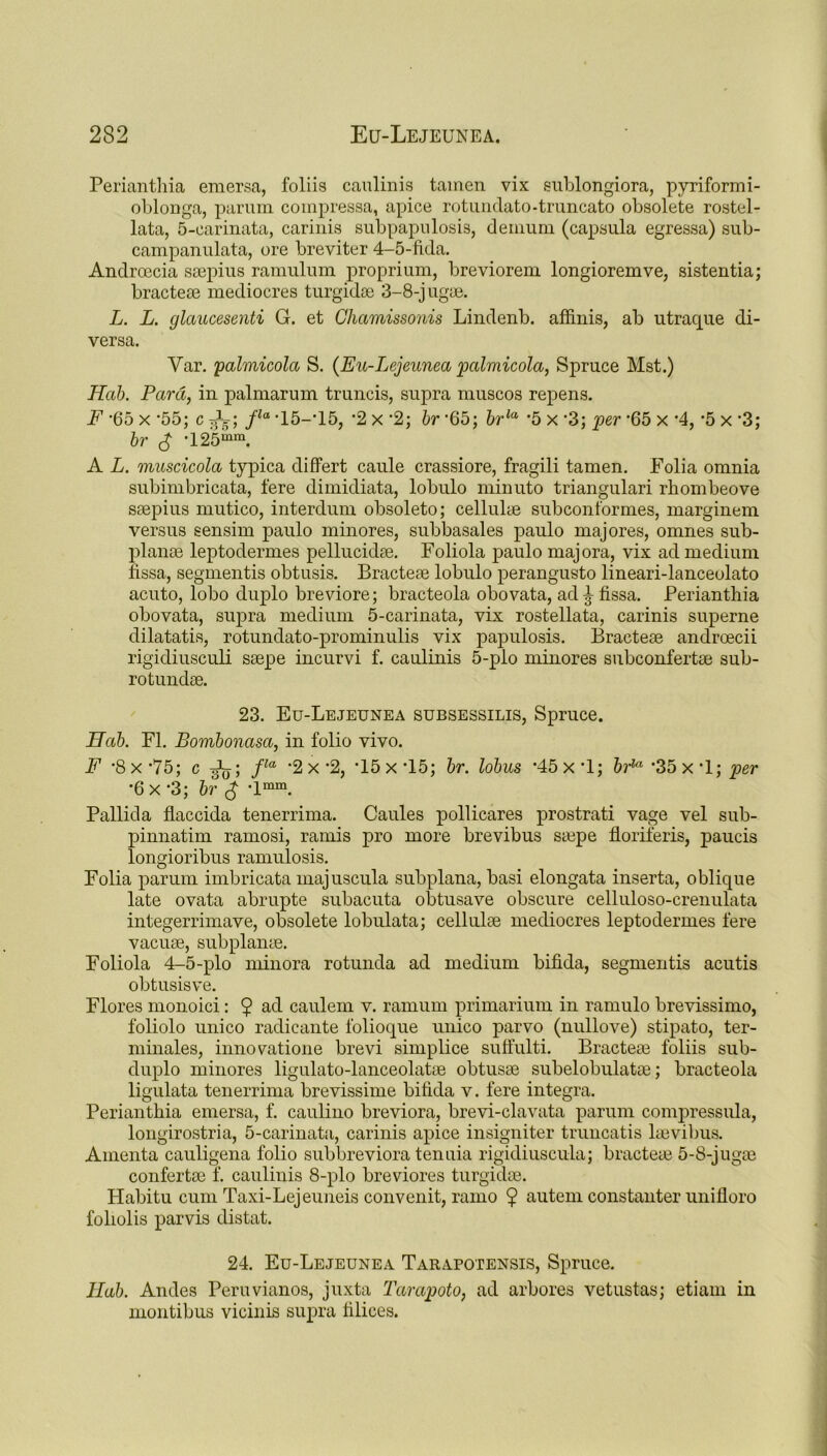 Perianthia emersa, foliis caulinis tamen vix sublongiora, pyriformi- oblonga, parum compressa, apice rotundato-truncato obsolete rostel- lata, 5-earinata, carinis subpapulosis, demum (capsula egressa) sub- campanulata, ore breviter 4-5-fida. Andrracia ssepius ramulum proprium, breviorem longioremve, sistentia; bractese mediocres turgidse 3-8-jugae. L. L. glaucesenti G. et Chamissonis Lindenb. affinis, ab utraque di- versa. Yar. palmicola S. {Eu-Lejeunea palmicola, Spruce Mst.) Hob. Para, in palmarum truncis, supra muscos repens. F ’65 x ’55; c ; fla ’15-*15, ‘2 x '2; hr ‘65; brla ’5 x ‘3; per ’65 x ’4, ’5 x ’3; br £ ’12’5mm. A L. muscicola typica differt caule crassiore, fragili tamen. Folia omnia subimbricata, fere dimidiata, lobulo minuto triangulari rbombeove ssepius mutico, interdum obsoleto; cellulse subconformes, marginem versus sensim paulo minores, subbasales paulo majores, omnes sub- planse leptodermes pellucidse. Foliola paulo majora, vix ad medium fissa, segmentis obtusis. Bractese lobulo perangusto lineari-lanceolato acuto, lobo duplo breviore; bracteola obovata, ad^ fissa. Perianthia obovata, supra medium 5-carinata, vix rostellata, carinis superne dilatatis, rotundato-prominulis vix papulosis. Bractese androecii rigidiusculi ssepe incurvi f. caulinis 5-plo minores subconfertse sub- rotundse. 23. Eu-Lejeunea subsessilis, Spruce. Hab. FI. Bombonasa, in folio vivo. F ’8x*75; c g\j; fla ’2 x’2, ’15x’15; br. lobus ’45x’l; bru ’35 x ’1; per •6x ’3; br £ ’lmm. Pallida flaccida tenerrima. Caules pollicares prostrati vage vel sub- pinnatim ramosi, ramis pro more brevibus stupe floriferis, paucis longioribus ramulosis. Folia parum imbricata majuscula subplana, basi elongata inserta, oblique late ovata abrupte subacuta ol)tusave obscure celluloso-crenulata integerrimave, obsolete lobulata; cellulae mediocres leptodermes fere vacute, subplante. Foliola 4-5-plo minora rotunda ad medium bifida, segmentis acutis obtusis ve. Flores monoid: $ ad caulem v. ramum primarium in ramulo brevissimo, foliolo unico radicante folioque unico parvo (nullove) stipato, ter- minales, innowatione brevi simplice suffulti. Bractese foliis sub- duplo minores ligulato-lanceolatse obtusse subelobulatae; bracteola ligulata tenerrima brevissime bifida v. fere integra. Perianthia emersa, f. caulino breviora, brevi-clavata parum compressula, longirostria, 5-carinata, carinis apice insigniter truncatis laevil)us. Amenta cauligena folio subbreviora tenuia rigidiuscula; bracteae 5-8-jugoe confertse f. caulinis 8-plo breviores turgidse. Habitu cum Taxi-Lejeuneis convenit, ramo $ autem constanter unifloro foliolis parvis distat. 24. Eu-Lejeunea Tarapotensis, Spruce. Hab. Andes Peruvianos, juxta Tarapoto, ad arbores vetustas; etiam in montibus vicinis supra filices.