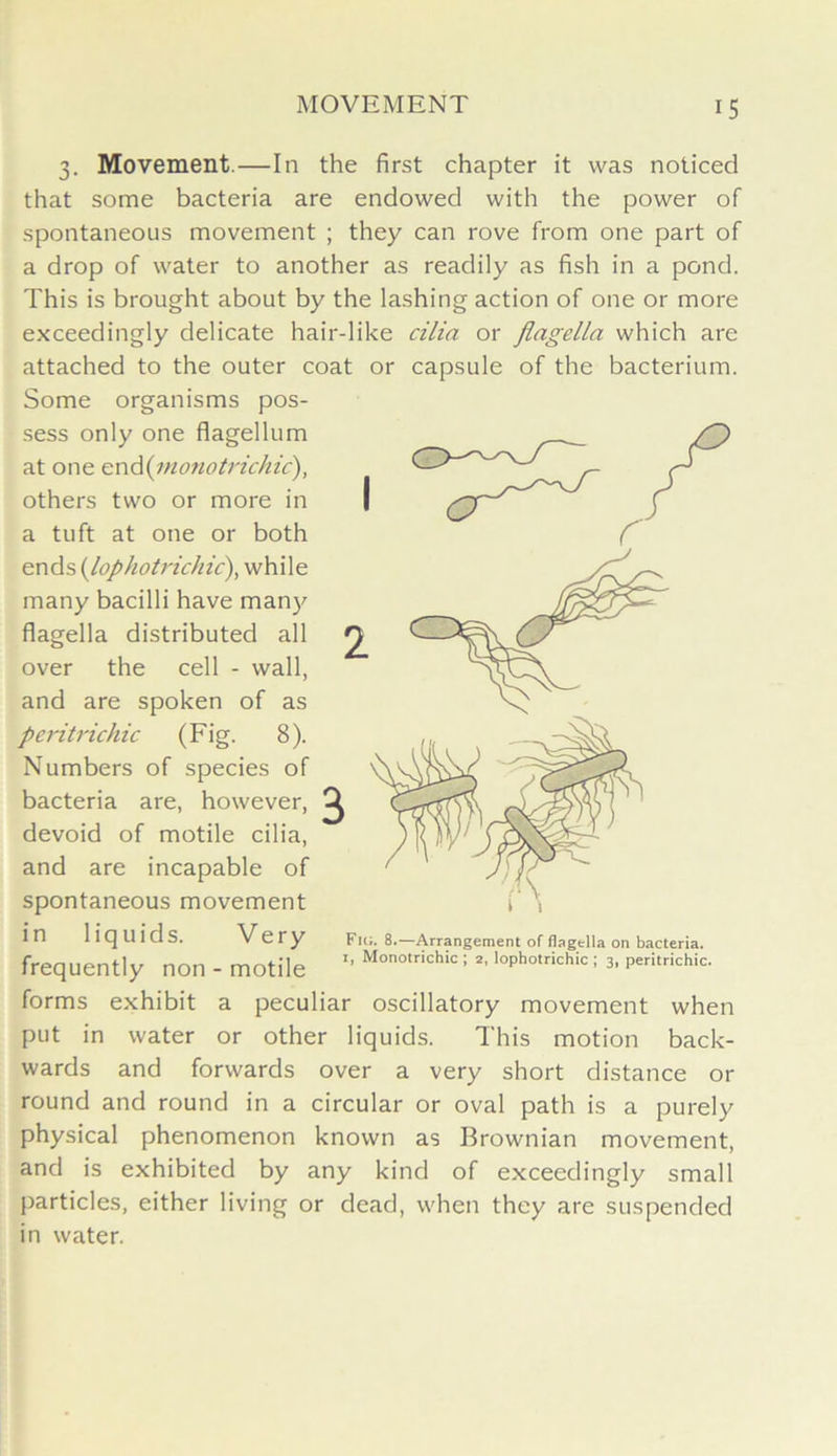 3. Movement.—In the first chapter it was noticed that some bacteria are endowed with the power of spontaneous movement ; they can rove from one part of a drop of water to another as readily as fish in a pond. This is brought about by the lashing action of one or more exceedingly delicate hair-like cilia or flagella which are attached to the outer coat or capsule of the bacterium. Some organisms pos- sess only one flagellum at one end{vionotrichic), others two or more in a tuft at one or both ends {lop ho trichic), while many bacilli have many flagella distributed all over the cell - wall, and are spoken of as peritrichic (Fig. 8). Numbers of species of bacteria are, however, devoid of motile cilia, and are incapable of spontaneous movement in liquids. Veiy Fit;. 8.—Arrangement of flagtlla on bacteria, frequently non - motile x> Monotrichic =2- loPhotrkhic; 3, peritrichic. forms exhibit a peculiar oscillatory movement when put in water or other liquids. This motion back- wards and forwards over a very short distance or round and round in a circular or oval path is a purely physical phenomenon known as Brownian movement, and is exhibited by any kind of exceedingly small particles, either living or dead, when they are suspended in water.