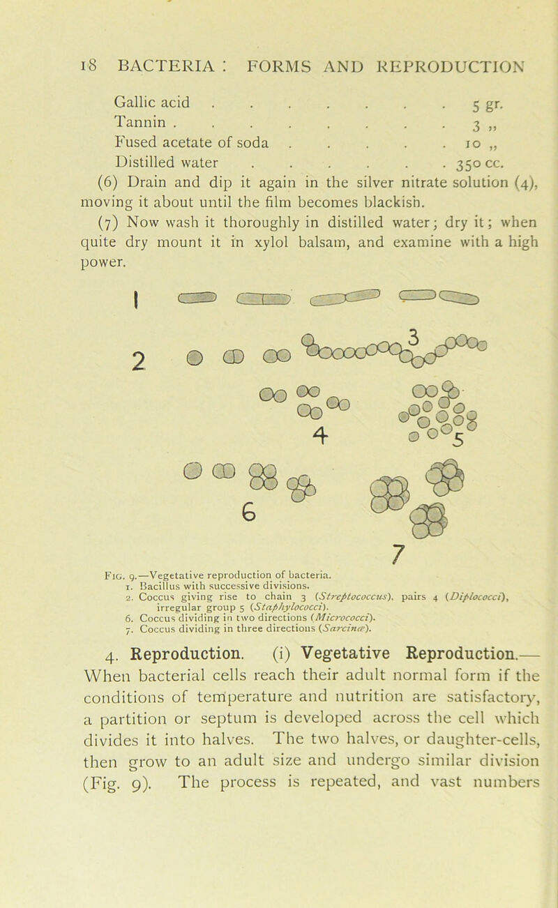 Gallic acid .... • 5 gr' Tannin ..... • • • 3 »> Fused acetate of soda • 10 „ Distilled water • 35° cc (6) Drain and dip it again in the silver nitrate solution (4), moving it about until the film becomes blackish. (7) Now wash it thoroughly in distilled water; dry it; when quite dry mount it in xylol balsam, and examine with a high power. | d-D CTTP 2 o od co 7 Fig. 9.—Vegetative reproduction of bacteria. 1. Bacillus with successive divisions. 2. Coccus giving rise to chain 3 (Streptococcus), pairs 4 (Dif>lococci), irregular group 5 (Stafihylococci). 6. Coccus dividing in two directions (Micrococci). 7. Coccus dividing in three directions (Sarcinic). 4. Reproduction. (i) Vegetative Reproduction.— When bacterial cells reach their adult normal form if the conditions of temperature and nutrition are satisfactory, a partition or septum is developed across the cell which divides it into halves. The two halves, or daughter-cells, then grow to an adult size and undergo similar division (Fig. 9). The process is repeated, and vast numbers