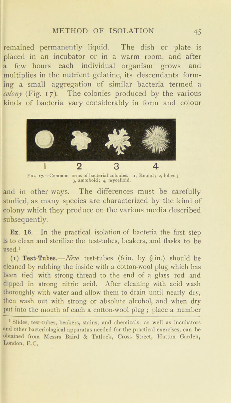 remained permanently liquid. The dish or plate is placed in an incubator or in a warm room, and after a few hours each individual organism grows and multiplies in the nutrient gelatine, its descendants form- ing a small aggregation of similar bacteria termed a colony (Fig. 17). The colonies produced by the various kinds of bacteria vary considerably in form and colour 2 3 4 Fig. i 7.—Common orms of bacterial colonies, i, Round; 2, lobed ; 3, amoeboid; 4, mycelioid. and in other ways. The differences must be carefully studied, as many species are characterized by the kind of colony which they produce on the various media described subsequently. Ex. 16.—In the practical isolation of bacteria the first step is to clean and sterilize the test-tubes, beakers, and flasks to be used.1 (r) Test-Tubes.—New test-tubes (6 in. by | in.) should be cleaned by rubbing the inside with a cotton-wool plug which has been tied with strong thread to the end of a glass rod and dipped in strong nitric acid. After cleaning with acid wash thoroughly with water and allow them to drain until nearly dry, then wash out with strong or absolute alcohol, and when dry put into the mouth of each a cotton-wool plug; place a number 1 Slides, test-tubes, beakers, stains, and chemicals, as well as incubators and other bacteriological apparatus needed for the practical exercises, can be obtained from Messrs Baird & Tatlock, Cross Street, Hatton Garden, London, E.C.