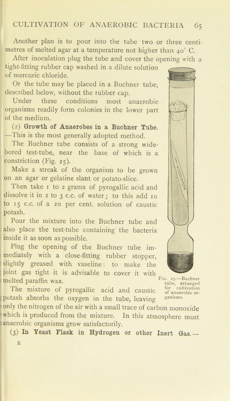 Another plan is to pour into the tube two or three centi- metres of melted agar at a temperature not higher than 40° C. After inoculation plug the tube and cover the opening with a tight-fitting rubber cap washed in a dilute solution of mercuric chloride. Or the tube may be placed in a Buchner tube, described below, without the rubber cap. Under these conditions most anaerobic organisms readily form colonies in the lower part of the medium. (2) Growth of Anaerobes in a Buchner Tube. —This is the most generally adopted method. The Buchner tube consists of a strong wide- bored test-tube, near the base of which is a constriction (Fig. 25). Make a streak of the organism to be grown on an agar or gelatine slant or potato-slice. Then take 1 to 2 grams of pyrogallic acid and dissolve it in 2 to 3 c.c. of water; to this add 10 to 15 c.c. of a 20 per cent, solution of caustic potash. Pour the mixture into the Buchner tube and also place the test-tube containing the bacteria inside it as soon as possible. Plug the opening of the Buchner tube im- mediately with a close-fitting rubber stopper, slightly greased with vaseline: to make the Joint gas tight it is advisable to cover it with melted paraffin wax. The mixture of pyrogallic acid and caustic oTanaeiobTco potash absorbs the oxygen in the tube, leaving sanisms- only the nitrogen of the air with a small trace of carbon monoxide which is produced from the mixture. In this atmosphere most anaerobic organisms grow satisfactorily. (3) In Yeast Flask in Hydrogen or other Inert Gas.— E Fig. 25.—Buchner tube, arranged