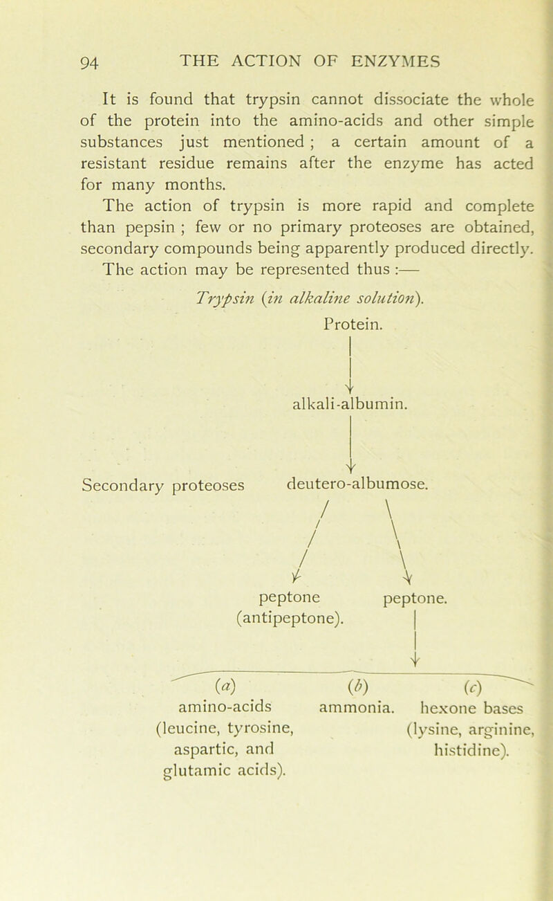 It is found that trypsin cannot dissociate the whole of the protein into the amino-acids and other simple substances just mentioned ; a certain amount of a resistant residue remains after the enzyme has acted for many months. The action of trypsin is more rapid and complete than pepsin ; few or no primary proteoses are obtained, secondary compounds being apparently produced directly. The action may be represented thus :— Trypsin (in alkaline solutio?i). Protein. 4 alkali-albumin. Secondary proteoses deutero-albumose. / \ \ p -V peptone peptone, (antipeptone). («) amino-acids ammonia. hexone bases (lysine, arginine, histidine). (leucine, tyrosine, aspartic, and glutamic acids).