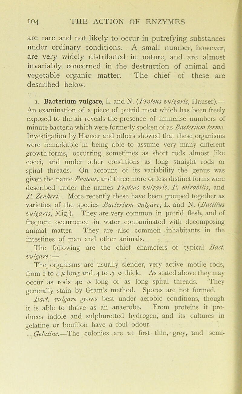 are rare and not likely to occur in putrefying substances under ordinary conditions. A small number, however, are very widely distributed in nature, and are almost invariably concerned in the destruction of animal and vegetable organic matter. The chief of these are described below. i. Bacterium vulgare, L. and N. (Proteus vulgaris, Hauser).— An examination of a piece of putrid meat which has been freely exposed to the air reveals the presence of immense numbers of minute bacteria which were formerly spoken of as Bacterium termo. Investigation by Hauser and others showed that these organisms were remarkable in being able to assume very many different growth-forms, occurring sometimes as short rods almost like cocci, and under other conditions as long straight rods or spiral threads. On account of its variability the genus was given the name Proteus, and three more or less distinct forms were described under the names Proteus vulgaris, P. mirabilis, and P. Zenkeri. More recently these have been grouped together as varieties of the species Bacterium vulgare, L. and N. (Bacillus vulgaris, Mig.). They are very common in putrid flesh, and of frequent occurrence in water contaminated with decomposing animal matter. They are also common inhabitants in the intestines of man and other animals. The following are the chief characters of typical Bad. vulgare:— The organisms are usually slender, very active motile rods, from i to 4 /x long and .4 to .7 /x thick. As stated above they may occur as rods 40 /x long or as long spiral threads. They generally stain by Gram’s method. Spores are not formed. Bad. vulgare grows best under aerobic conditions, though it is able to thrive as an anaerobe. From proteins it pro- duces indole and sulphuretted hydrogen, and its cultures in gelatine or bouillon have a foul odour. . Gelatine.—The colonies are at first thin, grey, and semi-