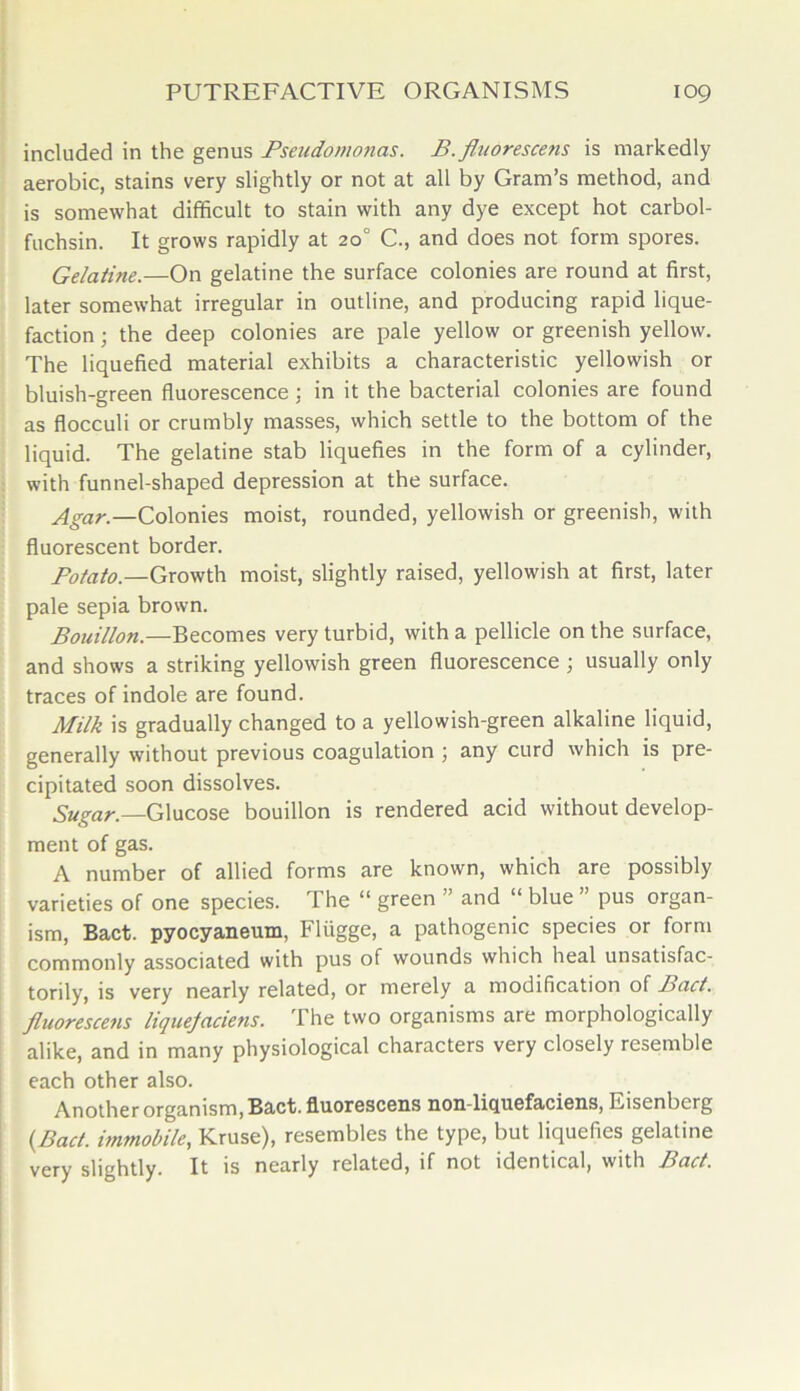 included in the genus Pseudomonas. B. fluorescens is markedly aerobic, stains very slightly or not at all by Gram’s method, and is somewhat difficult to stain with any dye except hot carbol- fuchsin. It grows rapidly at 20° C., and does not form spores. Gelatine.—On gelatine the surface colonies are round at first, later somewhat irregular in outline, and producing rapid lique- faction ; the deep colonies are pale yellow or greenish yellow. The liquefied material exhibits a characteristic yellowish or bluish-green fluorescence ; in it the bacterial colonies are found as flocculi or crumbly masses, which settle to the bottom of the liquid. The gelatine stab liquefies in the form of a cylinder, with funnel-shaped depression at the surface. —Colonies moist, rounded, yellowish or greenish, with fluorescent border. Potato.—Growth moist, slightly raised, yellowish at first, later pale sepia brown. Bouillon.—Becomes very turbid, with a pellicle on the surface, and shows a striking yellowish green fluorescence ; usually only traces of indole are found. Milk is gradually changed to a yellowish-green alkaline liquid, generally without previous coagulation ; any curd which is pre- cipitated soon dissolves. Sugar.—Glucose bouillon is rendered acid without develop- ment of gas. A number of allied forms are known, which are possibly varieties of one species. The “ green ” and “ blue ” pus organ- ism, Bact. pyocyaneum, Fliigge, a pathogenic species or form commonly associated with pus of wounds which heal unsatisfac- torily, is very nearly related, or merely a modification of had. fluorescens liquefaciens. The two organisms are morphologically alike, and in many physiological characters very closely resemble each other also. Another organism, Bact. fluorescens non-licpiefaciens, Risenberg {Bad. immobile, Kruse), resembles the type, but liquefies gelatine very slightly. It is nearly related, if not identical, with Bad.