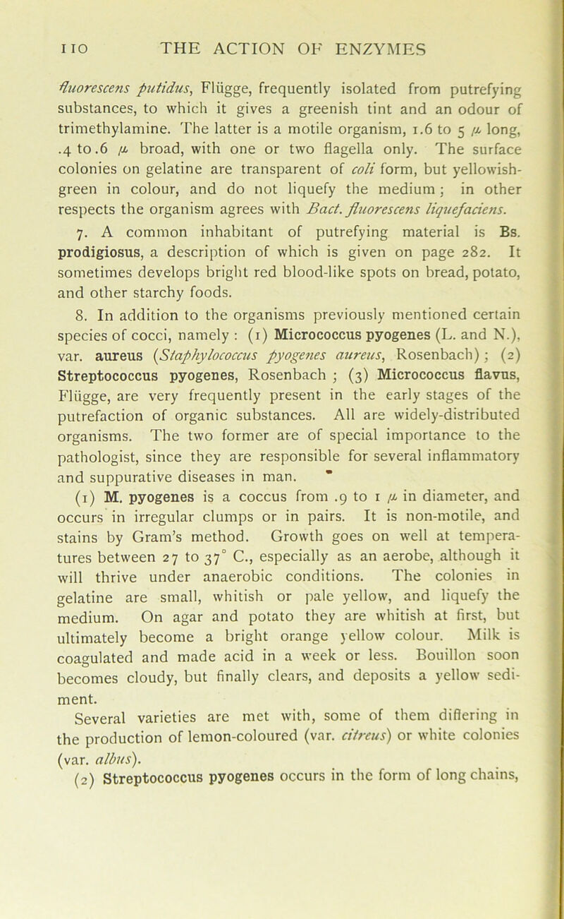 duorescens putidus, Fliigge, frequently isolated from putrefying substances, to which it gives a greenish tint and an odour of trimethylamine. The latter is a motile organism, 1.6 to 5 /j, long, .4 to.6 /x broad, with one or two flagella only. The surface colonies on gelatine are transparent of coli form, but yellowish- green in colour, and do not liquefy the medium; in other respects the organism agrees with Bad. fluorescens liquefaciejis. 7. A common inhabitant of putrefying material is Bs. prodigiosus, a description of which is given on page 282. It sometimes develops bright red blood-like spots on bread, potato, and other starchy foods. 8. In addition to the organisms previously mentioned certain species of cocci, namely : (1) Micrococcus pyogenes (L. and N.), var. aureus {Staphylococcus pyogenes aureus, Rosenbach); (2) Streptococcus pyogenes, Rosenbach ; (3) Micrococcus flavus, Fliigge, are very frequently present in the early stages of the putrefaction of organic substances. All are widely-distributed organisms. The two former are of special importance to the pathologist, since they are responsible for several inflammatory and suppurative diseases in man. (1) M. pyogenes is a coccus from .9 to 1 /x in diameter, and occurs in irregular clumps or in pairs. It is non-motile, and stains by Gram’s method. Growth goes on well at tempera- tures between 27 to 37° C., especially as an aerobe, although it will thrive under anaerobic conditions. The colonies in gelatine are small, whitish or pale yellow, and liquefy the medium. On agar and potato they are whitish at first, but ultimately become a bright orange yellow colour. Milk is coagulated and made acid in a week or less. Bouillon soon becomes cloudy, but finally clears, and deposits a yellow sedi- ment. Several varieties are met with, some of them difiering in the production of lemon-coloured (var. citreus) or white colonies (var. alhus).