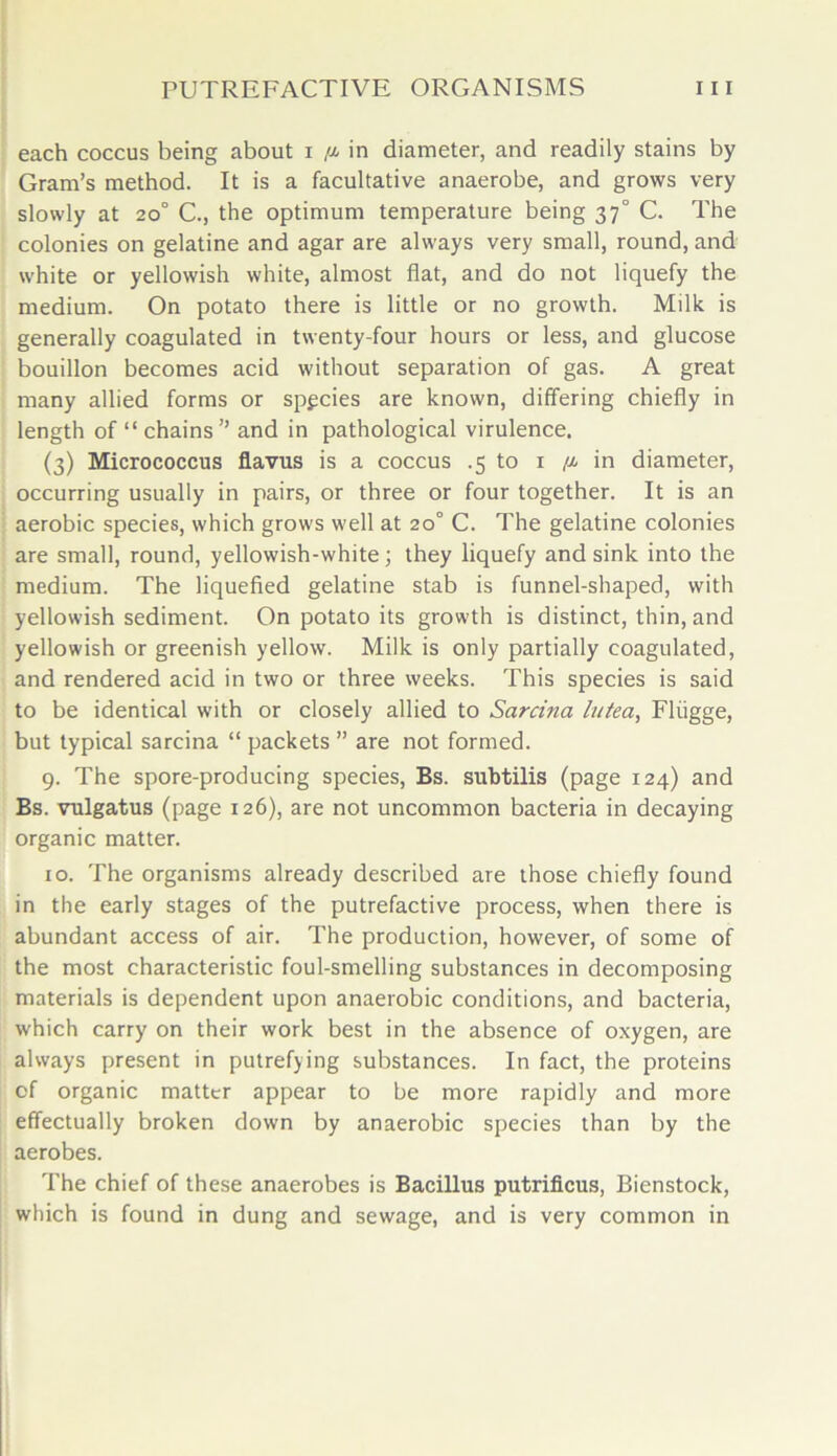 each coccus being about i /a in diameter, and readily stains by Gram’s method. It is a facultative anaerobe, and grows very slowly at 20° C., the optimum temperature being 370 C. The colonies on gelatine and agar are always very small, round, and white or yellowish white, almost flat, and do not liquefy the medium. On potato there is little or no growth. Milk is generally coagulated in twenty-four hours or less, and glucose bouillon becomes acid without separation of gas. A great many allied forms or spgcies are known, differing chiefly in length of “ chains” and in pathological virulence. (3) Micrococcus flavus is a coccus .5 to 1 /a in diameter, occurring usually in pairs, or three or four together. It is an aerobic species, which grows well at 20° C. The gelatine colonies are small, round, yellowish-white; they liquefy and sink into the medium. The liquefied gelatine stab is funnel-shaped, with yellowish sediment. On potato its growth is distinct, thin, and yellowish or greenish yellow. Milk is only partially coagulated, and rendered acid in two or three weeks. This species is said to be identical with or closely allied to Sarcina lutea, Fliigge, but typical sarcina “ packets ” are not formed. 9. The spore-producing species, Bs. subtilis (page 124) and Bs. vulgatus (page 126), are not uncommon bacteria in decaying organic matter. 10. The organisms already described are those chiefly found in the early stages of the putrefactive process, when there is abundant access of air. The production, however, of some of the most characteristic foul-smelling substances in decomposing materials is dependent upon anaerobic conditions, and bacteria, which carry on their work best in the absence of oxygen, are always present in putrefying substances. In fact, the proteins of organic matter appear to be more rapidly and more effectually broken down by anaerobic species than by the aerobes. The chief of these anaerobes is Bacillus putrificus, Bienstock, which is found in dung and sewage, and is very common in