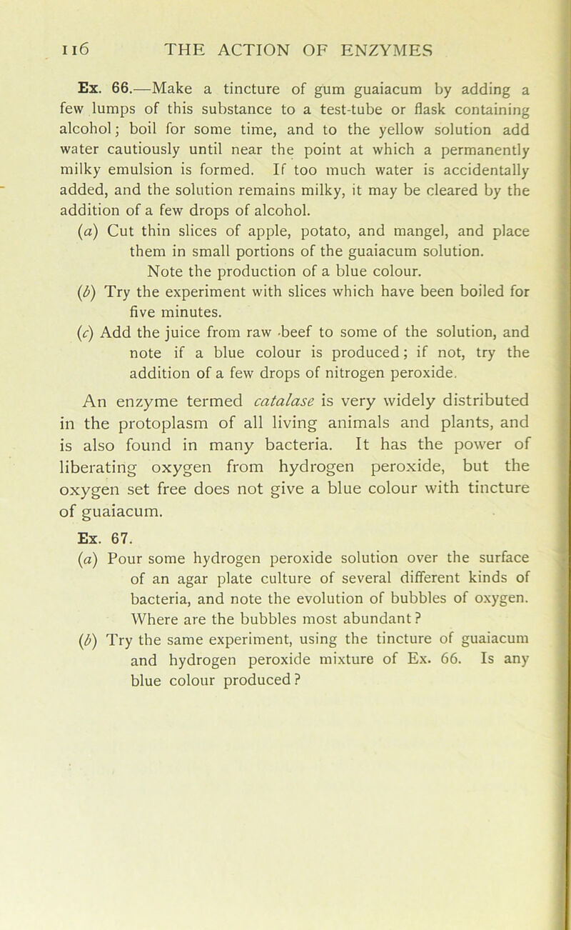 Ex. 66.—Make a tincture of gum guaiacum by adding a few lumps of this substance to a test-tube or flask containing alcohol; boil for some time, and to the yellow solution add water cautiously until near the point at which a permanently milky emulsion is formed. If too much water is accidentally added, and the solution remains milky, it may be cleared by the addition of a few drops of alcohol. (a) Cut thin slices of apple, potato, and mangel, and place them in small portions of the guaiacum solution. Note the production of a blue colour. (b) Try the experiment with slices which have been boiled for five minutes. (c) Add the juice from raw -beef to some of the solution, and note if a blue colour is produced; if not, try the addition of a few drops of nitrogen peroxide. An enzyme termed catalase is very widely distributed in the protoplasm of all living animals and plants, and is also found in many bacteria. It has the power of liberating oxygen from hydrogen peroxide, but the oxygen set free does not give a blue colour with tincture of guaiacum. Ex. 67. (a) Pour some hydrogen peroxide solution over the surface of an agar plate culture of several different kinds of bacteria, and note the evolution of bubbles of oxygen. Where are the bubbles most abundant ? (b) Try the same experiment, using the tincture of guaiacum and hydrogen peroxide mixture of Ex. 66. Is any blue colour produced ?