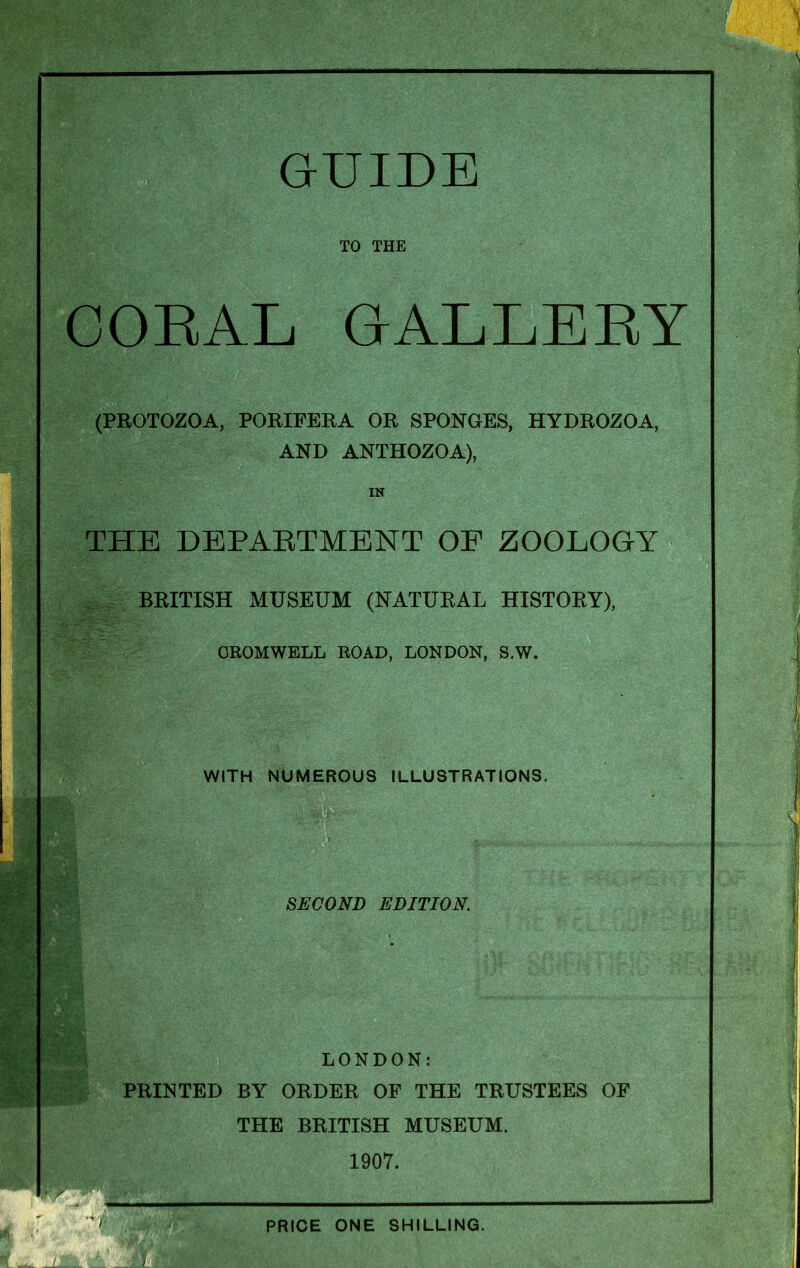 —i §fgj TO THE CORAL GALLERY (PROTOZOA, PORIFERA OR SPONGES, HYDROZOA, AND ANTHOZOA), IN THE DEPARTMENT OF ZOOLOGY BRITISH MUSEUM (NATURAL HISTORY), CROMWELL ROAD, LONDON, S.W. WITH NUMEROUS ILLUSTRATIONS. • 'MM*-'- SECOND EDITION. mmmm LONDON: PRINTED BY ORDER OF THE TRUSTEES OF THE BRITISH MUSEUM. 1907. PRICE ONE SHILLING. —