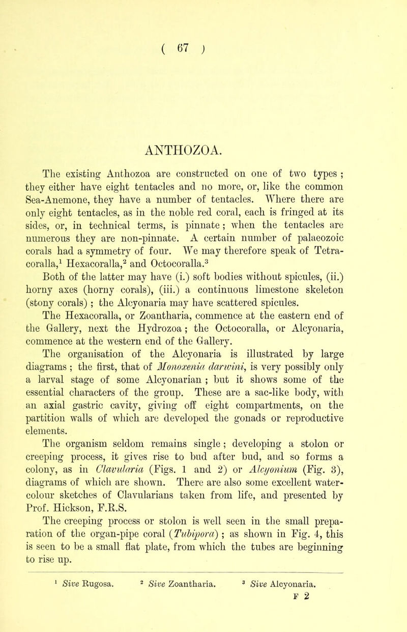 ANTHOZOA. The existing Anthozoa are constructed on one of two types ; they either have eight tentacles and no more, or, like the common Sea-Anemone, they have a number of tentacles. Where there are only eight tentacles, as in the noble red coral, each is fringed at its sides, or, in technical terms, is pinnate; when the tentacles are numerous they are non-pinnate. A certain number of palaeozoic corals had a symmetry of four. We may therefore speak of Tetra- coralla,1 Hexacoralla,2 and Octocoralla.3 Both of the latter may have (i.) soft bodies without spicules, (ii.) horny axes (horny corals), (iii.) a continuous limestone skeleton (stony corals); the Alcyonaria may have scattered spicules. The Hexacoralla, or Zoantharia, commence at the eastern end of the Gallery, next the Hydrozoa ; the Octocoralla, or Alcyonaria, commence at the western end of the Gallery. The organisation of the Alcyonaria is illustrated by large diagrams ; the first, that of Monoxenici darwini, is very possibly only a larval stage of some Alcyonarian ; but it shows some of the essential characters of the group. These are a sac-like body, with an axial gastric cavity, giving off eight compartments, on the partition walls of which are developed the gonads or reproductive elements. The organism seldom remains single ; developing a stolon or creeping process, it gives rise to bud after bud, and so forms a colony, as in Glavularia (Figs. 1 and 2) or Alcyonium (Fig. 3), diagrams of which are shown. There are also some excellent water- colour sketches of Clavularians taken from life, and presented by Prof. Hickson, F.R.S. The creeping process or stolon is well seen in the small prepa- ration of the organ-pipe coral (Tubiporci) ; as shown in Fig. 4, this is seen to be a small flat plate, from which the tubes are beginning to rise up. 1 Sive Kugosa. 2 Sive Zoantharia. 3 Sive Alcyonaria. F 2