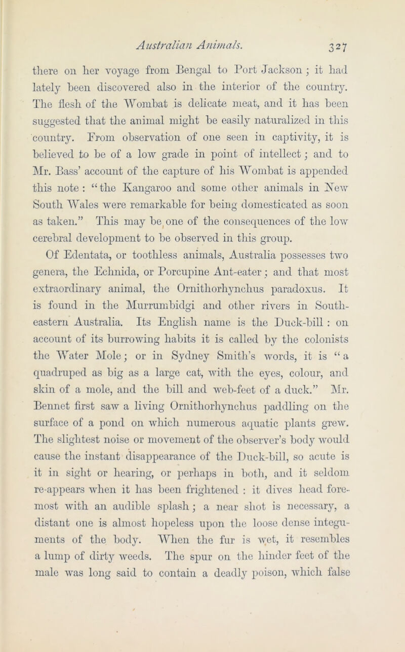 there on her voyage from Bengal to Port Jackson ; it had lately been discovered also in the interior of the country. The flesh of the Wombat is delicate meat, and it has been suggested that the animal might be easily naturalized in this country. Prom observation of one seen in captivity, it is believed to be of a low grade in point of intellect; and to J\lr. Bass’ account of the capture of his Wombat is appended this note: “the Kangaroo and some other animals in Kew South Wales Avere remarkable for being domesticated as soon as taken.” This may begone of the consequences of the Ioav cerebral development to be observed in this group. Of Edentata, or toothless animals, Australia j^ossesses tAvo genera, the Eclinida, or PorciqAine Ant-eater; and that most extraordinary animal, the Oriiithorhynchus paradoxus. It is found in the Murrumbidgi and other iWers in South- eastern Australia. Its English name is the Duck-bill : on account of its burroAAung habits it is called by the colonists the Water Mole; or in Sydney Smitli’s AA^ords, it is “a cj[uadruped as big as a large cat, Avitli the eyes, colour, and skin of a mole, and the bill and Aveb-feet of a duck.” ]\Ir. Bennet first saAV a living Ornithorhynchus paddling on the surface of a pond on AAdiich numerous aquatic plants greAv. The slightest noise or moA^ement of the observer’s body Avoiild cause the instant disappearance of the Duck-bill, so acute is it in sight or hearing, or perhaps in both, and it seldom re-appears Avdien it has been frightened : it dives head fore- most Avith an audible splash; a near shot is necessary, a distant one is almost hopeless upon the loose dense integu- ments of the body. When the fur is Avet, it resembles a lump of dirty Aveeds. The spur on the 1 under feet of the male Avas long said to contain a deadly poison, A\diich false