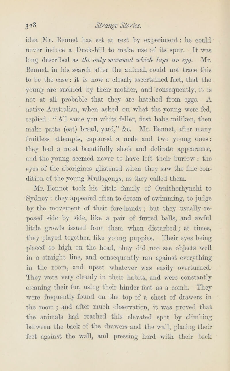 idea Mr. Bennet lias set at rest by experiment: lie could never induce a Duck-bill to make use of its spur. It was long described as the only mammal which lays an egg. klr. Bennet, in liis search after the animal, could not trace this to be the case: it is now a clearly ascertained fact, that the young are suckled by their mother, and consequently, it is not at all probable that they are hatched from eggs. A native Australian, when asked on what the young were fed, replied : “All same you ivliite feller, first habe miliken, then make patta (eat) bread, yard,” &c. Mr. Bennet, after manj- fruitless attempts, captured a male and two young ones: they had a most beautifully sleek and delicate appearance, and the young seemed never to have left their burrow ; the eyes of the aborigines glistened when they saw the fine con- dition of the young Mullagongs, as they called them. ]Mr. Bennet took his little family of Ornithorhynchi to Sydney : they appeared often to dream of swimming, to judge by the movement of their fore-hands; but they usually re- posed side by side, like a pair of furred balls, and aw'ful little growls issued from them when disturbed; at times, they played together, like young puppies. Their eyes being placed so high on the head, they did not see objects well in a straight line, and consequently ran against everything in the room, and ujiset whatever was easily overturned. They were very cleanly in their habits, and were constantly cleaning their fur, using their hinder feet as a comb. They were frequently found on the top of a chest of drawers in the room; and after much observation, it was proved that the animals ha.d reached this elevated spot by climbing between the back of the drawers and the wall, placing their feet against the wall, and pressing hard with their back