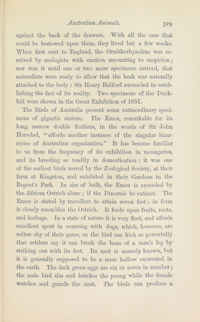 against the iDack of the drawers. With all the care that could be bestowed upon them, they lived but a few weeks. When first sent to England, the Ornithorhynchus was re- ceived by zoologists with caution amounting to suspicion; nor was it until one or two more specimens arrived, that naturalists were ready to allow that the beak was naturally attached to the body ; Sir Henry Halford succeeded in estab- lishing the fact of its reality. Two specimens of the Duck- bill were shovm in the Great Exhibition of 1851. The Birds of Australia present some extraordinary speci- mens of gigantic stature. The Emeu, remarkable for its long, narrow double feathers, in the words of Sir John Herschel, “ affords another instance of the singular bizar- reries of Australian organization.” It has become familiar to us from the frequency of its exhibition in menageries, and its breeding so readily in domestication : it was one of the earliest birds reared by the Zoological Society, at their fiirm at Kingston, and exhibited in their Gardens in the Ecgent’s Park. In size of bulk, the Emeu is exceeded by the African Ostrich alone ; if the Dinornis be extinct. The Emeu is stated by travellers to attain seven feet : in form it closely resembles the Ostrich. It feeds upon fruits, roots, and herbage. In a state of nature it is very fleet, and affords excellent sport in coursing with dogs, which, however, are rather shy of their game, as the bird can kick so powerfully tliat settlers say it can break the bone of a man’s leg by striking out with its feet. Its nest is scarcely known, but it is generally supposed to bo a mere hollow excavated in the earth. The dark green eggs are six or seven in number; the male bird sits and hatches the young while the female watches and guards the nest. The birds can produce a