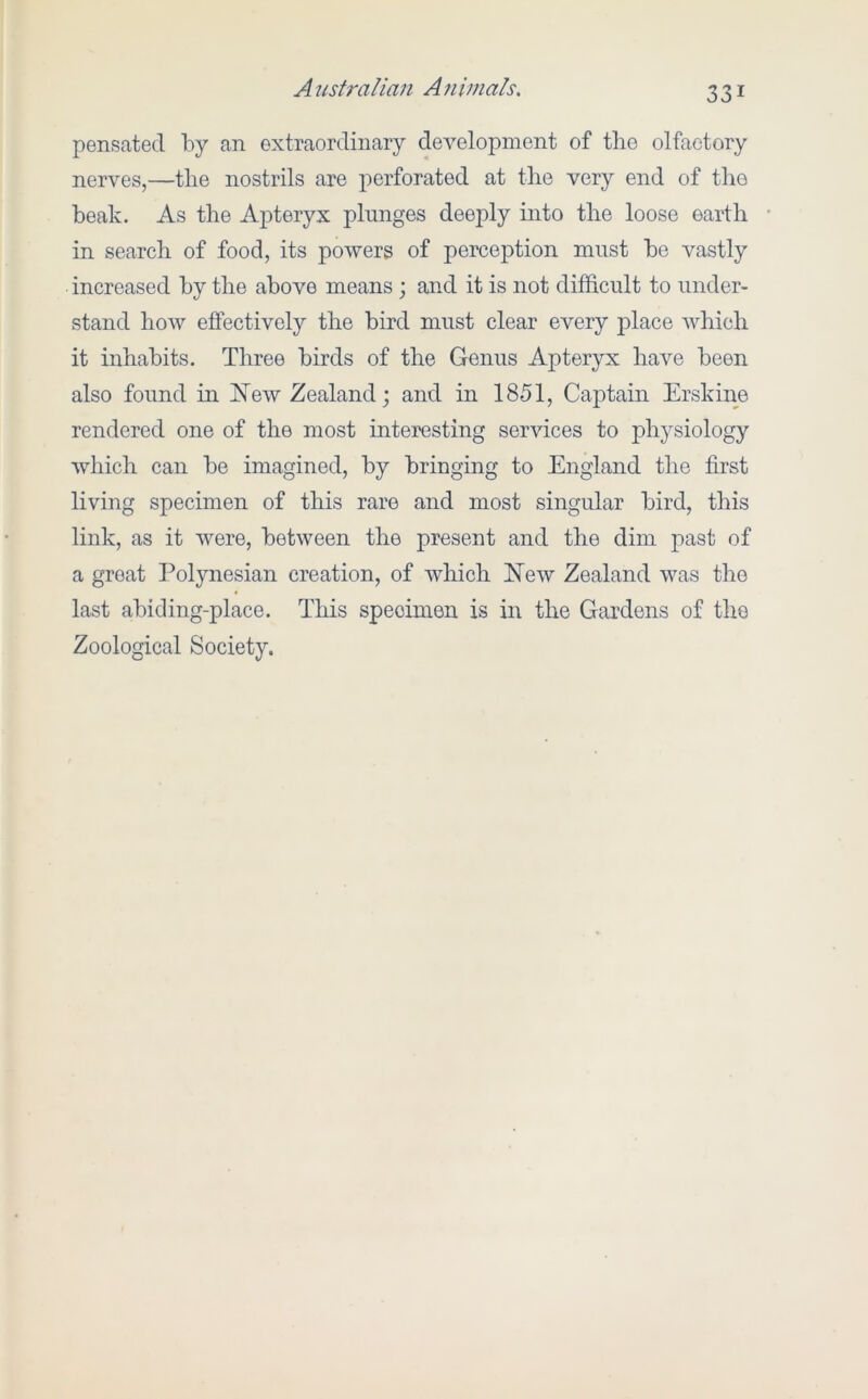 pensated by an extraordinary development of tlio olfactory nerves,—tlie nostrils are perforated at tlie very end of the beak. As the Apteryx plunges deeply into the loose earth in search of food, its powers of perception must bo vastly increased by the above means ; and it is not difficult to under- stand how effectively the bird must clear every place which it inhabits. Three birds of the Genus Apteryx have been also found in IN'ew Zealand j and in 1851, Captain Erskine rendered one of the most interesting services to physiology which can be imagined, by bringing to England the first living specimen of this rare and most singular bird, this link, as it were, between the present and the dim past of a great Polynesian creation, of which New Zealand was the last abiding-place. This specimen is in the Gardens of tlie Zoological Society.