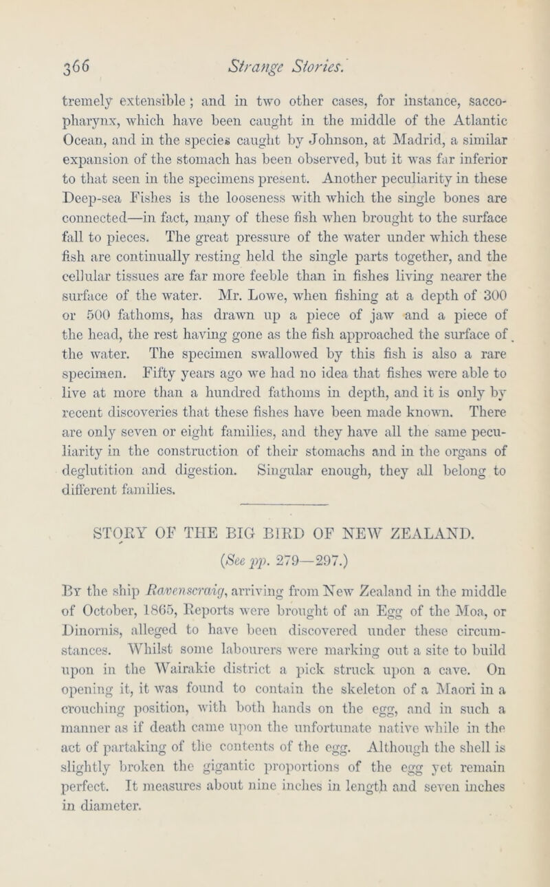 tremely extensible ; and in two other cases, for instance, sacco- pharynx, which have been caught in the middle of the Atlantic Ocean, and in the species caught by Johnson, at Madrid, a similar expansion of the stomach has been observed, but it was far inferior to that seen in the specimens present. Another peculiarity in these Deep-sea Fishes is the looseness with which the single bones are connected—in fact, many of these fish when brought to the surface fall to pieces. The great pressure of the water under which these fish are continually resting held the single parts together, and the cellular tissues are far more feeble than in fishes living nearer the surface of the water. Mr. Lowe, when fishing at a depth of 300 or 500 fathoms, has drawn up a piece of jaw and a piece of the head, the rest having gone as the fish approached the surface of the water. The specimen swallowed by this fish is also a rare specimen. Fifty years ago we had no idea that fishes were able to live at more than a hundred fathoms in depth, and it is only by recent discoveries that these fishes have been made knovm. There are only seven or eight families, and they have all the same pecu- liarity in the construction of their stomachs and in the organs of deglutition and digestion. Singular enough, they all belong to different families. STORY OF THE BIG BIRD OF NEW ZEALAND. »• {See I)}). 279—297.) By the ship Eavenscraig, arriving from New Zealand in the middle of October, 1895, Reports were brought of an Egg of the Moa, or Dinornis, alleged to have been discovered under these circum- stances. Whilst some labourers were marking out a site to build upon in the Wairakie district a pick struck upon a cave. On opening it, it was found to contain the skeleton of a Maori in a crouching position, with both liands on the egg, and in such a manner as if death came upon tlie unfortunate native while in the act of partaking of the contents of the egg. Although the shell is slightly broken the gigantic proportions of the egg j^et remain perfeet. It measures about nine inches in length and seven inches in diameter.
