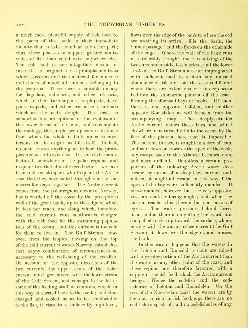 a much more plentiful supply of fish food to the parts of the bank in their immediate vicinity than is to be found at any other part; thus, these places can support greater multi- tudes of fish than could exist anywhere else. The fish food is not altogether devoid of interest. It originates in a protoplasmic basis which serves as nutritive material for immense multitudes of amoeboid animals belonging to the protozoa. These form a suitable dietary for flagellata, radiolaria, and other infusoria, which in their turn support amphipoda, deca- poda, isopoda, and other crustaceous animals which are the cod’s delight. The series is somewhat like an epitome of the evolution of the lower forms of life, and, as if to complete the analogy, the simple protoplasmic substance from which the whole is built up is as mys- terious in its origin as life itself. In fact, no man knows anything as to how the proto- plasm comes into existence. It seems to be manu- factured somewhere in the polar regions, and in quantities that almost exceed belief—we have been told by skippers who frequent the Arctic seas that they have sailed through such viscid masses for days together. The Arctic current comes from the polar regions down to Norway, but is warded off the coast by the precipitous wall of the great bank, up to the edge of which it does not reach, and along which, therefore, the cold current runs southwards, charged with the rich food for the swimming popula- tion of the ocean; but this current is too cold for them to live in. The Gulf Stream, how- ever, from the tropics, flowing on the top of the cold current towards Norway, establishes that happy combination of circumstances so necessary to the well-being of the cod-fish. On account of the opposite directions of the two currents, the upper strata of the Polar current must get mixed with the lower strata of the Gulf Stream, and consign to the latter some of the feeding stuff it contains, which in this way is carried back to the bank ; and thus charged and cooled, so as to be comfortable to the fish, it rises to a sufficiently high level, flows over the edge of the bank to where the cod are awaiting its arrival ; fills the basin, the ‘ inner passage ’ and the fjords on the other side of the edge. Where the wall of the bank runs in a tolerably straight line, this mixing of the two currents must be less marked, and the lower strata of the Gulf Stream are not impregnated with sufficient food to sustain any unusual abundance of fish life ; but the case is different where there are extensions of the deep ocean bed into the submarine plateau off the coast, forming the aforesaid bays or nooks. Of such, there is one opposite Lofoten, and another opposite Romsdalen, as will be seen from the accompanying map. The deeply-situated Arctic current enters these bays, and whilst elsewhere it is turned off into the ocean by the face of the plateau, here that is impossible. The current, in fact, is caught in a sort of trap, and as it flows on towards the apex of the nook, any escape back to the Atlantic becomes more and more difficult. Doubtless, a certain pro- portion of the inflowing Arctic water does escape by means of a deep back current, and, indeed, it might all escape in this way if the apex of the bay were sufficiently rounded. It is not rounded, however, but the very opposite, viz., an acute entering angle; and when the current reaches this, there is but one means of egress. The water pressure behind forces it on, and as there is no getting backward, it is compelled to rise up towards the surface, where, mixing with the warm surface current (the Gulf Stream), it flows over the edge of, and crosses, the bank. In this way it happens that the waters in the Lofoten and Romsdal regions are mixed with a greater portion of the Arctic current than the waters at any other point of the coast, and these regions are therefore favoured with a supply of the fish food which the Arctic current brings. Hence the cod-fish and the cod- fisheries of Lofoten and Romsdalen. On the rest of the Norwegian coast the waters are by far not so rich in fish food, ergo there are no cod-fish to speak of, and no cod-fisheries of any