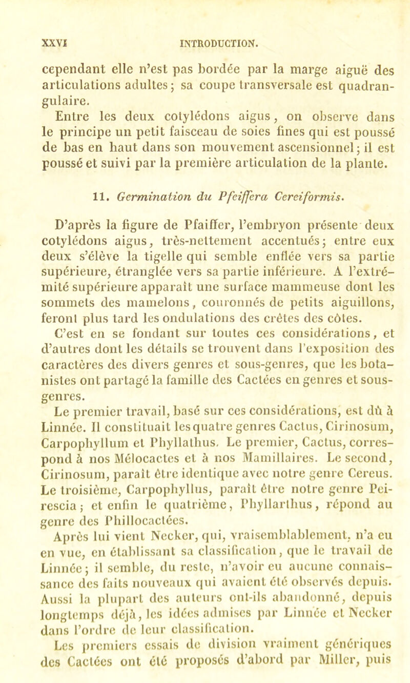 cependant elle n’est pas bordée par la marge aiguë des articulations adultes ; sa coupe transversale est quadran- gulaire. Entre les deux cotylédons aigus, on observe dans le principe un petit faisceau de soies fines qui est poussé de bas en haut dans son mouvement ascensionnel; il est poussé et suivi par la première articulation de la plante. 11. Germination dti Pfeiffera Cereiformis. D’après la figure de Pfaifïer, l’embryon présente deux cotylédons aigus^ très-nettement accentués; entre eux deux s’élève la tigelle qui semble enflée vers sa partie supérieure, étranglée vers sa partie inférieure. A l’extré- mité supérieure apparaît une surface mammeuse dont les sommets des mamelons, couronnés de petits aiguillons, feronl plus tard les ondulations des crêtes des côtes. C’est en se fondant sur toutes ces considérations, et d’autres dont les détails se trouvent dans l’exposition des caractères des divers genres et sous-genres, que les bota- nistes ont partagé la famille des Cactées en genres et sous- genres. Le premier travail, basé sur ces considérations, est dù à Linnée. Il constituait les quatre genres Cactus, Cirinosum, Carpophyllum et Phyllatbus, Le premier. Cactus, corres- pond à nos Mélocacles et à nos Mamillaires. Le second, Cirinosum, paraît être identique avec notre genre Cereus. Le troisième, Carpopbyllus, parait être notre genre Pei- rescia -, et enfin le quatrième, Pbyllarllius, répond au genre des Phillocaclécs. Après lui vient Necker, qui, vraisemblablement, n’a eu en vue, en établissant sa classification, que le travail de Linnée ; il semble, du reste, n’avoir eu aucune connais- sance des faits nouveaux qui avaient été observés depuis. Aussi la plupart des auteurs ont-ils abandonné, depuis longtemps déjà, les idées admises par Linnée et Nccker dans l’ordre de leur classilicalion. Les premiers essais de division vraiment génériques des Cactées ont été proposés d’abord par Miller, puis