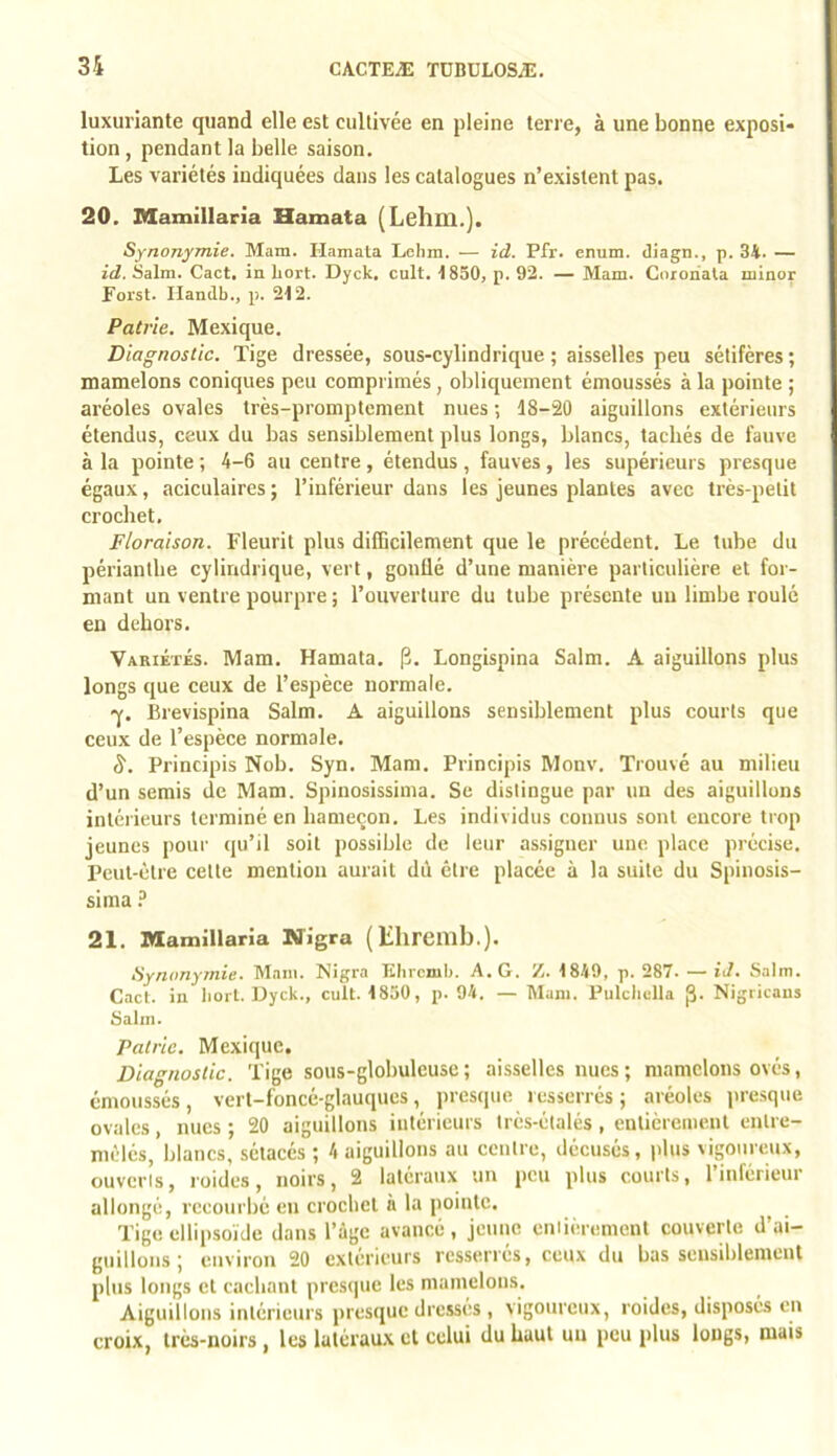 luxuriante quand elle est cultivée en pleine terre, à une bonne exposi- tion , pendant la belle saison. Les variétés indiquées dans les catalogues n’existent pas. 20. nZamillaria Hamata (Lehm.]. Synonymie. Mam. Hamata Lehra. — id. Pfr. enum. diagn., p. 34. — id. Salm. Cact. in liort. Dyck. cuit. ISSO, p. 92. — Mam. Coionala minor Foi'st. Handb., p. 212. Patrie. Mexique. Diagnostic. Tige dressée, sous-cylindrique ; aisselles peu sétifères ; mamelons coniques peu comprimés, obliquement émoussés à la pointe ; aréoles ovales très-promptement nues ; 18-20 aiguillons extérieurs étendus, ceux du bas sensiblement plus longs, blancs, tachés de fauve à la pointe ; 4-6 au centre , étendus , fauves , les supérieurs presque égaux, aciculaires ; l’inférieur dans les jeunes plantes avec très-petit crochet. Floraison. Fleurit plus difficilement que le précédent. Le tube du périanthe cylindrique, vert, gonflé d’une manière particulière et for- mant un ventre pourpre ; l’ouverture du tube présente un limbe roulé en dehors. Variétés. Mam. Hamata. |3. Longispina Salm. A aiguillons plus longs que ceux de l’espèce normale. -y. Brevispina Salm. A aiguillons sensiblement plus courts que ceux de l’espèce normale. 8. Principis Nob. Syn. Mam, Principis Monv. Trouvé au milieu d’un semis de Mam. Spinosissima. Se distingue par un des aiguillons intérieurs terminé en hameçon. Les individus connus sont encore trop jeunes pour qu’il soit possible de leur assigner une place précise. Peut-être cette mention aurait dû être placée à la suite du Spinosis- sima 21. Mamillaria Nigra ( lilircmb.). Synonymie. M.ini. Nigra Klircmb. A. G. /. 1849, p. 287. — iJ. Salm. Cact. in borl. Hyck., cuit. 1830, p. 94. — Mam. Pulciiulla Nigricaus Salin. Patrie. Mexique. Diagnostic. Tige sous-globuleuse ; aisselles nues ; mamelons ovés, émoussés, vert-foncé-glauques, presque resserrés; aréoles presque ovales, nues ; 20 aiguillons intérieurs três-étalés , entièrement entre- mêlés, blancs, sélacés ; 4 aiguillons au centre, décusés, plus vigoureux, ouverts, roides, noirs, 2 latéraux un peu plus courts, l’inférieur allongé, rccotirbé en crochet a la pointe. ^ Tige ellipsoïde dans l’âge avancé, jeune entièrement couverte d’ai- guillons; environ 20 extérieurs resserrés, ceux du bas sensiblement plus longs et cachant presque les mamelons. Aiguillons intérieurs presque dressés , vigoureux, roides, disposés en croix, très-noirs , les latéraux cl celui du haut un peu plus longs, mais