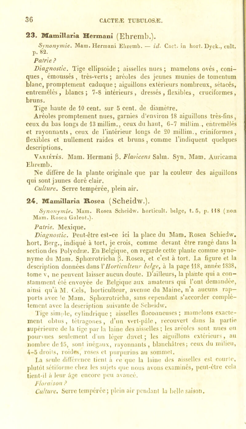 23. Mamillaria Hermani (Ehrenib.). Synonymie, Mam. Hermani Elircmb. — id, Cad. in lioii. Dyck., cnit. p. 82. Pairie ? Diagnostic. Tige ellipsoïde ; aisselles nues ; mamelons ovés, coni- ques , émoussés , très-verts ; aréoles des jeunes munies de tomentum blanc, promptement caduque ; aiguillons extérieurs nombreu.x, sétacés, entremêlés, blancs; 7-8 intérieurs, dressés, flexibles, cruciformes, bruns. Tige haute de 10 cent, sur 5 cent, de diamètre. Aréoles promptement nues, garnies d'environ 18 aiguillons très-fins, ceux du bas longs de 13 millim., ceux du haut, 6-7 millim., entremêlés et rayonnants, ceux de l’intérieur longs de 20 millim., criniformes, flexibles et nullement raides et bruns , comme l’indiquent quelques descriptions. Variétés. Mam. Hermani (j. Flavicens Salm. Syn. Mam. Auricama Elire.mb. Ne diffère de la plante originale que par la couleur des aiguillons qui sont jaunes doré clair. Culture. Serre tempérée, plein air. 24. Mamillaria Rosea (Sclieidw.). Synonymie. Mam. Rosca Sclieidw. horlicult. belge, t. 5, p. H8 (non Mam. Rüsea Galeot.). Pairie. Mexique. Diagnostic. Peut-être est-ce ici la jilace du Mam. Rosea Sebiedw, bort. Berg., indiqué à tort, je crois, comme devant être rangé dans la section des Polyedræ. En Belgique, on regarde cette plante comme syno- nyme du Mam. Spbœrotricba p. Rosea, et c’est à tort. La figure et la description données dans \'Horticulteur belge, à la page 118, année 1838, tome V, ne peuvent laisser aucun doute. D’ailleurs, la plante qui a con- stamment été envoyée de Belgique aux amateurs qui l’ont demandée, ainsi qu’à M. Gels, borliculteur, avenue du Maine, n’a aucuns rap- ports avec le Mam. Siibocrotriclia, sans cependant s’accorder complè- tement avec la description suivante de Sclieidw. 'J'ige siniple, cylindrique; aisselles floconneuses; mamelons exacte- ment obtus, télragones, d’un vert-pàlo, recouvert dans la partie supérieure de la lige jiar la laine des aisselles ; les aréoles sont nues ou pourvues seulement dïin léger duvet; les aiguillons extérieurs, au nombre de 16, sont inég.uix, rayonnants, blanebàires; ceux ilu milieu, 4-5 droits, roides, roses et purpurins an sommet. I.n seule did’émiee tient à ce ipie la laine des aisselles est courte, plutôt sélilorme ebez les sujets <pie nous avons examinés, peut-être cela tient-il à leur âge encore jieu avancé. J'ioraisou ? Culture. Serre tempérée; plein air pendant la belle.saison.