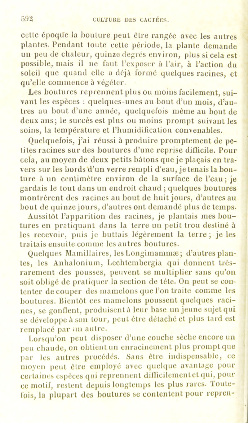 celle époque la boulure peut élre rangée avec les autres plantes. Pendant toute cette pci iode, la plante demande un peu de chaleur, quinze degrés enviion, plus si cela est possible, mais il ne faut l’e-xposer à Pair, à l’action du soleil que quand elle a déjà lonné quelques racines, et qu’elle commence à végéter. Les boutures reprennent plus ou moins facilement, sui- vant les espèces : quelques-unes au bout d’un mois, d’au- tres au bout d’une année, quelquefois même au bout de deux ans j le succès est plus ou moins prompt suivant les soins, la température et l’humidification convenables. Quelquefois, j’ai réussi à produire promptement de pe- tites racines sur des boutures d’une reprise difficile. Pour cela, au moyen de deux petits bâtons que je plaçais en tra- vers sur les bords‘d’un verre rempli d’eau, jetenais la bou- ture à un centimètre environ de la surface de l’eau j je gardais le tout dans un endroit chaud ; quelques boutures montrèrent des racines au bout de huit jours, d’autres au bout de quinze jours, d’autres ont demandé plus de temps. Aussitôt l’apparition des racines, je plantais mes bou- tures en pratiquant dans la terre un petit trou destiné ù les recevoir, puis je buttais légèrement la terre; je les traitais ensuite comme les autres boutures. Quelques Mamillaires, les Longimammæ; d’autres plan- tes, les Anhalonium, Lcchlembergia qui donnent très- rarement des pousses, peuvent se multiplier sans qu’on soit obligé de pratiquer la section de tète. On peut se con- tenter découper des mamelons que l’on traite comme les boutures, bientôt ces mamelons poussent quelques raci- nes, se gonflent, produisculà leur base un jeune sujet qui se développe à son tour, peut élre détaché et plus lard est remplacé |)ar un autre. Lorsqu’on peut disposer d’une couche sèche encore un ])eu chaude, on obtient un enracinemeut plus prompt que par les autres procédés. Sans élre indispensable, ce moyen ijcul élre employé avec (luehiue avantage pour CCI laines espèces r|ui re|)renncnt dilficilementcl tpii, pour ce motif, restent depuis longtemps les plus rares. Toute- fois, la plupart des boutures se conlcnlenl jiour repren-