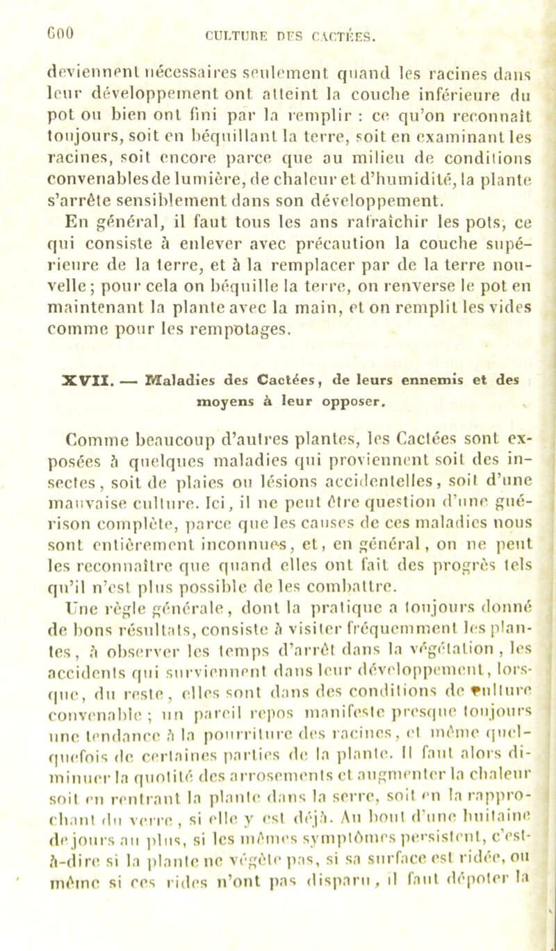 dcviennenl nécessaires seulement quand les racines dans leur développement ont atteint la couche inférieure du pot ou bien ont fini par la remplir : ce qu’on reconnaît toujours, soit en béquillant la terre, soit en examinant les racines, soit encore parce que au milieu de conditions convenablesde lumière, de chaleur et d’humidité, la plante s’arrête sensiblement dans son développement. En général, il faut tous les ans rafraîchir les pots, ce qui consiste è enlever avec précaution la couche supé- rieure de la terre, et 5 la remplacer par de la terre nou- velle ; pour cela on béquille la terre, on renverse le pot en maintenant la plante avec la main, et on remplit les vides comme pour les rempotages. XVIX.— Iilaladies des Cactées, de leurs ennemis et des moyens à leur opposer. Comme beaucoup d’autres plantes, les Cactées sont ex- posées à quelques maladies qui proviennent soit des in- sectes, soit de plaies ou lésions accidentelles, soit d’une mauvaise culture. Ici, il ne peut être question d’une gué- rison complète, parce que les causes de ces maladies nous sont entièrement inconnues, et, en général, on ne peut les reconnaître que q\iand elles ont fait des progrès tels qn’il n’est plus possible de les combattre. Une règle générale, dont la pratique a toujours donné de bons résultats, consiste è visiter fréquemment les plan- tes, !\ observer les temps d’arrêt dans la végétation , les accidents qui surviennent datis leur développenuuit, loi’s- (|ue, du reste, elles sont dans des conditions de Culture convenable; un pareil repos manifeste presque toujours une tendance è la pourriture des l acincs, et même (]uel- quefois de certaines parties de la plante. Il faut alors di- minuer la quotité des arrosements et augmenter la chaleur soit eu rentrant la plante dans la serre, soit en la rappro- chant du vei i-e, si elle y est déjii. Au bout d'une huitaine de jours au jdiis, si les inêuu's symptêmes persistent, c’est- A-dire si la i)lantene végète ])as, si sa surface est ridée, ou même si ces rides n’ont pas disparu, il faut dépoter la