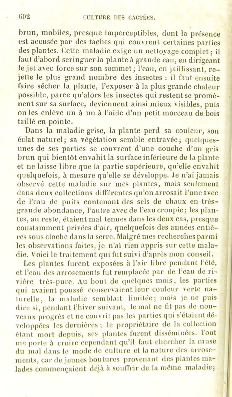 brun, mobiles, presque imperceptibles, dont la présence est accusée par des taches qui couvrent ceitaines parties ) des plantes. Cette maladie exige un nettoyage complet ; il j faut d’abord seringuer la plante à grande eau, en dirigeant le jet avec force sur son sommet ; l’eau, en jaillissant, re- jette le plus grand nombre des insectes : il faut ensuite faire sécher la plante, l’exposer à la plus grande chaleur possible, parce qu’alors les insectes qui restent se promè- . nent sur sa surface, deviennent ainsi mieux visibles, puis on les enlève un à un à l’aide d’un petit morceau de bois taillé en pointe. Dans la maladie grise, la plante perd sa couleur, son éclat naturel; sa végétation semble entravée; quelques- unes de ses parties se couvrent d’une couche d’un gris brun qui bientôt envahit la surface inférieure de la plante et ne laisse libre que la partie supérieure, qu’elle envahit quelquefois, à mesure qu’elle se développe. Je n’ai jamais observé cette maladie sur mes plantes, mais seulement dans deux collections différentes qu’on arrosait l’une avec de l’eau de puits contenant des sels de chaux en très- grande abondance, l’autre avec de l’eau croupie; les plan- tes, au reste, étaient mal tenues dans les deux cas, presque constamment privées d’air, quelquefois des années entiè- res sous cloche dans la serre. Malgré mes recherches parmi les observations faites, je n’ai rien appris sur cette mala- die. Voici le traitement qui fut suivi d’après mon conseil. I-es plantes furent exposées i» l’air libre pendant l’été, et l’eau des arrosements fut remplacée par de l’eau de ri- vière très-pure. Au bout de quelques mois, les parties qui avaient poussé conservaient leur couleur verte na- turelle, la maladie semblait limitée; mais je ne puis dire si, pendant l’hiver suivant, le mal ne lit j)as de nou- veaux progrès et ne couvrit pas les parties qui s’étaient dé- veloppées les dernières ; le propriétaire de la collection j étaïit mort depuis, ses plantes furent disséminées. Tout j me ])orte à croire cependant qu’il faut chercher la cause | du mal dans le mode de culture et la nature des arrose- ! ments, car de jeunes boutures j)rovciiaut des plantes ma- lades commençaient déjà à souHi-ir de la même maladie;