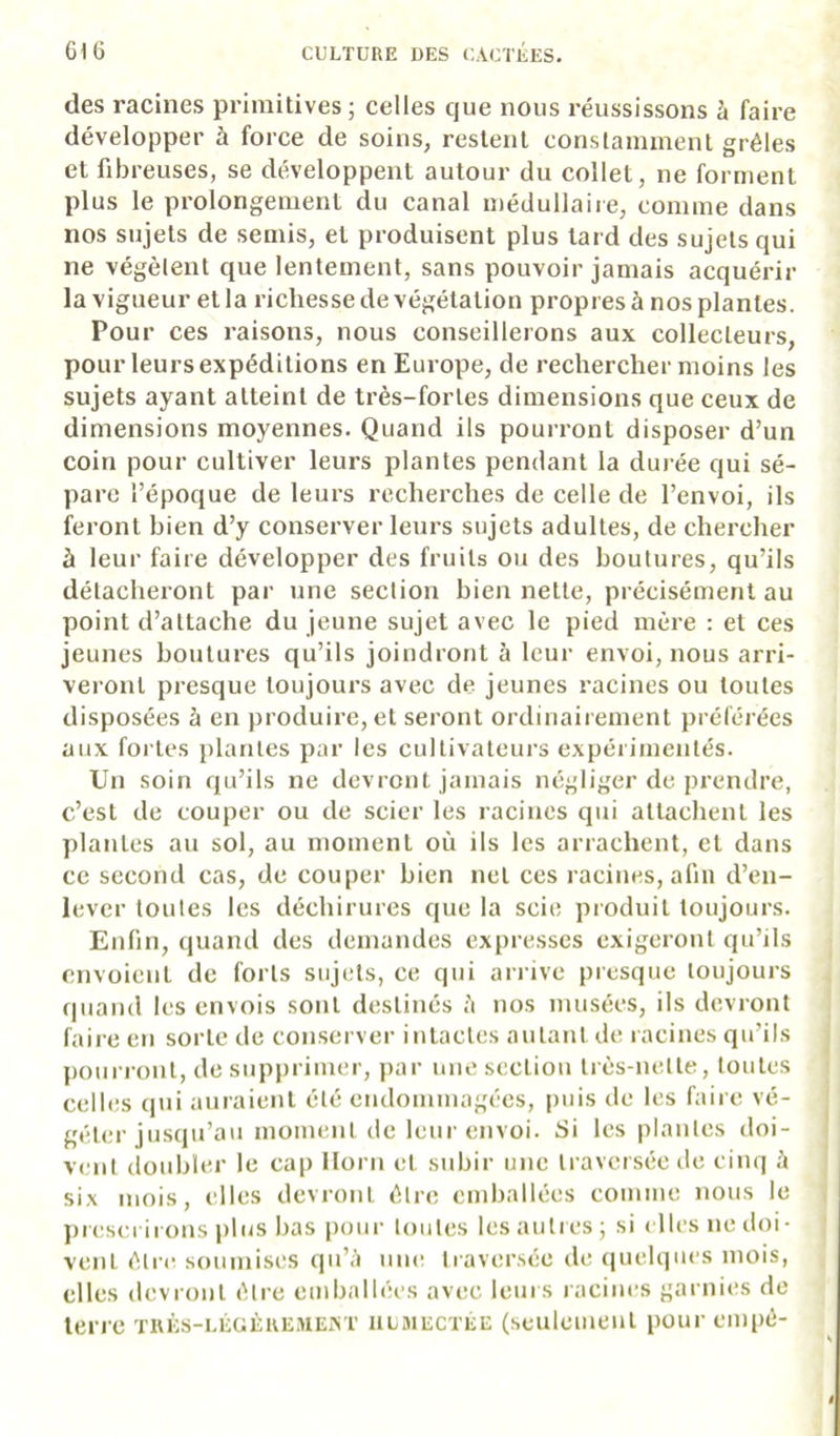 61 6 des racines primitives ; celles que nous réussissons à faire développer à force de soins, restent constamment grêles et fibreuses, se développent autour du collet, ne forment plus le prolongement du canal médullaire, comme dans nos sujets de semis, et produisent plus tard des sujets qui ne végètent que lentement, sans pouvoir jamais acquérir la vigueur et la richesse de végétation propres à nos plantes. Pour ces raisons, nous conseillerons aux collecteurs, pour leurs expéditions en Europe, de rechercher moins les sujets ayant atteint de très-fortes dimensions que ceux de dimensions moyennes. Quand ils pourront disposer d’un coin pour cultiver leurs plantes pendant la durée qui sé- pare l’époque de leurs recherches de celle de l’envoi, ils feront bien d’y conserver leurs sujets adultes, de chercher à leur faire développer des fruits ou des boutures, qu’ils détacheront par une section bien nette, précisément au point d’attache du jeune sujet avec le pied mère : et ces jeunes boutures qu’ils joindront à leur envoi, nous arri- veront presque toujours avec de jeunes racines ou toutes disposées à en produire, et seront ordinairement préférées aux fortes plantes par les cultivateurs expérimentés. Un soin qu’ils ne devront jamais négliger de prendre, c’est de couper ou de scier les racines qui attachent les plantes au sol, au moment où ils les arrachent, et dans ce second cas, de couper bien net ces racines, afin d’en- lever toutes les déchirures que la scie pioduit toujours. Enfin, quand des demandes expresses exigeront qu’ils envoient de forts sujets, ce qui arrive presque toujours (|iiaiul les envois sont destinés à nos musées, ils devront faire en sorte de conserver intactes autant de racines qu’ils pourront, de supprimer, jiar une section très-nette, toutes celles qui auraient été endomiuagées, iniis de les faire vé- géter jusqu’au moment de leur envoi. Si les plantes doi- vent doubler le cap llorn et subir une traversée de cinq à six mois, elles devront être emballées comme nous le preserii ous plus bas pour toutes les autres ; si ( lies ne doi- vent être soumises qu’à une tiaversée de quelques mois, elles devront être emballées avec leurs racines garnies de terre tkès-légèkemeiXT ulsiectée (seulement pour eiiipê-
