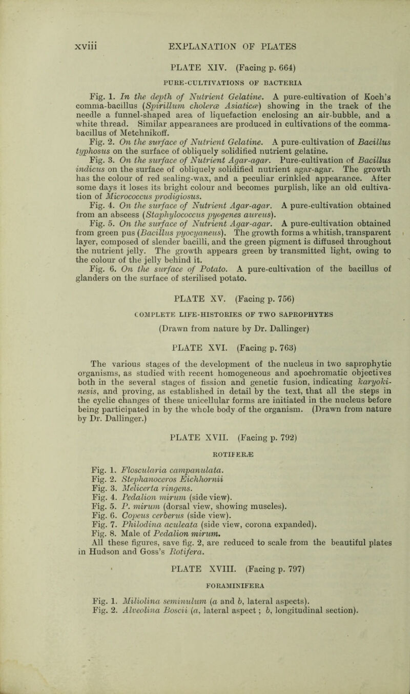 PLATE XIY. (Facing p. 664) PURE-CULTIVATIONS OF BACTERIA Fig. 1. In the depth of Nutrient Gelatine. A pure-cultivation of Koch’s comma-bacillus (Spirillum cholerce Asiatics) showing in the track of the needle a funnel-shaped area of liquefaction enclosing an air-bubble, and a white thread. Similar appearances are produced in cultivations of the comma- bacillus erf Metchnikolf. Fig. 2. On the surface of Nutrient Gelatine. A pure-cultivation of Bacillus typhosus on the surface of obliquely solidified nutrient gelatine. Fig. 3. On the surface of Nutrient Agar-agar. Pure-cultivation of Bacillus indicus on the surface of obliquely solidified nutrient agar-agar. The growth has the colour of red sealing-wax, and a peculiar crinkled appearance. After some days it loses its bright colour and becomes purplish, like an old cultiva- tion of Micrococcus prodigiosus. Fig. 4. On the surface of Nutrient Agar-agar. A pure-cultivation obtained from an abscess (Staphylococcus pyogenes aureus). Fig. 5. On the surface of Nutrient Agar-agar. A pure-cultivation obtained from green pus (Bacillus pyocyaneus). The growth forms a whitish, transparent layer, composed of slender bacilli, and the green pigment is diffused throughout the nutrient jelly. The growth appears green by transmitted light, owing to the colour of the jelly behind it. Fig. 6. On the surface of Potato. A pure-cultivation of the bacillus of glanders on the surface of sterilised potato. PLATE XY. (Facing p. 756) COMPLETE LIFE-HISTORIES OF TWO SAPROPHYTES (Drawn from nature by Dr. Dallinger) PLATE XVI. (Facing p. 763) The various stages of the development of the nucleus in two saprophytic organisms, as studied with recent homogeneous and apochromatic objectives both in the several stages of fission and genetic fusion, indicating karyoki- nesis, and proving, as established in detail by the text, that all the steps in the cyclic changes of these unicellular forms are initiated in the nucleus before being participated in by the whole body of the organism. (Drawn from nature by Dr. Dallinger.) PLATE XVII. (Facing p. 792) ROTIPER^E Fig. 1. Floscularia campanulata. Fig. 2. Stephanoceros Eichliornii Fig. 3. Melicerta ringens. Fig. 4. Pedalion mirum (side view). Fig. 5. P. mirum (dorsal view, showing muscles). Fig. 6. Copeus cerberus (side view). Fig. 7. Philodina aculeata (side view, corona expanded). Fig. 8. Male of Pedalion mirum. All these figures, save fig. 2, are reduced to scale from the beautiful plates in Hudson and Goss’s Rotifera. PLATE XVIII. (Facing p. 797) FORAMINIFERA Fig. 1. Miliolina seminulum (a and 6, lateral aspects). Fig. 2. Alveolma Boscii (a, lateral aspect; 6, longitudinal section).