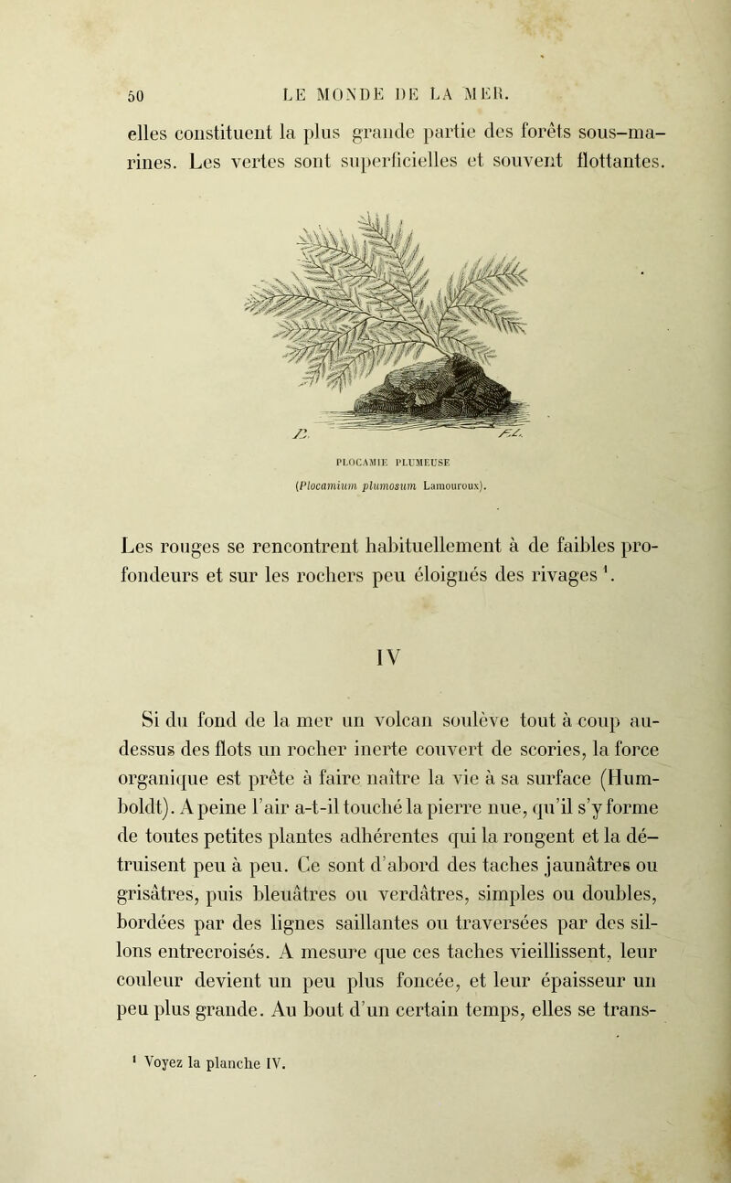 elles constituent la plus grande partie des forêts sous-ma- rines. Les vertes sont superficielles et souvent flottantes. PLOCAMIE PLUMEUSE (Plocamium plumosum Lamouroux). Les rouges se rencontrent habituellement à de faibles pro- fondeurs et sur les rochers peu éloignés des rivages 1. IV Si du fond de la mer un volcan soulève tout à coup au- dessus des flots un rocher inerte couvert de scories, la force organique est prête à faire naître la vie à sa surface (Hum- boldt). A peine l’air a-t-il touché la pierre nue, qu’il s’y forme de toutes petites plantes adhérentes qui la rongent et la dé- truisent peu à peu. Ce sont d’abord des taches jaunâtres ou grisâtres, puis bleuâtres ou verdâtres, simples ou doubles, bordées par des lignes saillantes ou traversées par des sil- lons entrecroisés. A mesure que ces taches vieillissent, leur couleur devient un peu plus foncée, et leur épaisseur un peu plus grande. Au bout d’un certain temps, elles se trans- 1 Voyez la planche IV.