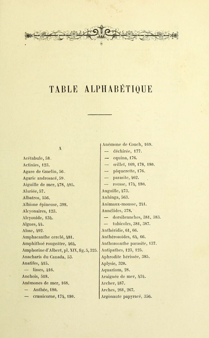 TABLE ALPHABÉTIQUE A Acétabule, 58. Actinies, 123. Agace de Gmelin, 56. Agaric androsacé, 59. Aiguille de mer, 478, 495. Alariée, 57. Albatros, 556. Albione épineuse, 398. Alcyonaires, 123. Alcyonide, 134. Algues, 44. Alose, 492. Amphacanthe cerclé, Z|81. Amphithoé rougeâtre, 464. Amphorine d’Albert, pl. XIX, fig. 5,325. Anacharis du Canada, 53. Anatifes, 415. — lisses, 416. Anchois, 518. Anémones de mer, 168. — Anthée, 180. — crassicorne, 174, 180. Anémone de Couch, 169. — déchirée, 177. — cquina, 176. — œillet, 169, 178, 180. — pâquerette, 176. — parasite, 462. — rousse, 174, 180. Anguille, 473. Anhinga, 563. Animaux-mousse, 241. Annélides, 378. — dorsibranches, 381, 383. — tubicoles, 381, 387. Anthéridie, 61, 66. Anthérozoïdes, 64, 66. Antliozoanthe parasite, 137. Antipathes, 123, 125. Aphrodite hérissée, 385. Aplysie, 320. Aquarium, 28. .Araignée de mer, 434. Archer, 487. Arches, 261, 267. Argonaute papyracé, 356.