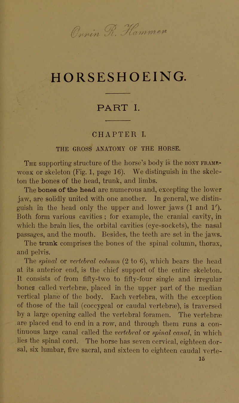 HORSESHOEING. PART I. CHAPTER I. THE GROSS ANATOMY OF THE HORSE. The supporting structure of the horse’s bocly is the bony framr- woRK or Skeleton (Fig. 1, page 16). We distinguish in the Skele- ton the bones of the head, trunk, and limbs. The bones of the head are numerous and, excepting the lower jaw, are solidly united with one another. In general, we distin- guish in the head only the upper and lower jaws (1 and 1'). Both form various cavities ; for example, the cranial cavity, in which the brain lies, the orbital cavities (eye-sockets), the nasal passages, and the mouth. Besides, the teeth are set in the jaws. The trunk comprises the bones of the spinal column, thorax, and pelvis. The spinal or vertebral column (2 to 6), which bears the head at its anterior end, is the chief support of the entire skeleton. It consists of from fifty-two to fifty-four single and irregulär bones callecl vertebrse, placed in the upper part of the median vertical plane of the body. Each vertebra, with the exception of those of the tail (coccygeal or caudal vertebras), is traversed by a large opening called the vertebral foramen. The vertebrae are placed end to end in a row, and through them runs a con- tinuous large canal called the vertebral or spinal canal, in which lies the spinal cord. The horse has seven cervical, eigliteen dor- sal, six lumbar, five sacral, and sixteen to eighteen caudal verte- lö