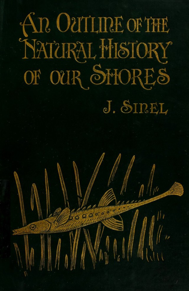 No text description is available for this image