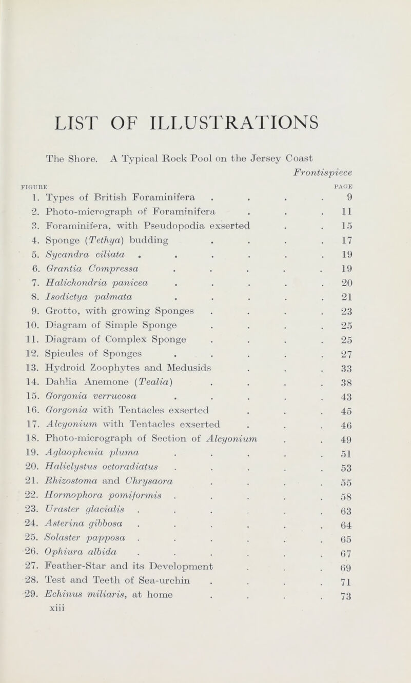 LIST OF ILLUSTRATIONS The Shore. A Typical Rock Pool on the Jersey Coast Frontispiece FIGURE PAGE 1. Types of British Foraminifera . . . .9 2. Photo-micrograph of Foraminifera . . .11 3. Foraminifera, with Pseuclopodia exserted . .15 4. Sponge (Tethya) budding . . . .17 5. Sycandra ciliata . . . . . .19 6. Grcmtia Compressa . . . . .19 7. Halichondria panicea . . . . .20 8. Isodictya palmata . . . . .21 9. Grotto, with growing Sponges . . . .23 10. Diagram of Simple Sponge . . . .25 11. Diagram of Complex Sponge . . . .25 12. Spicules of Sponges . . . . .27 13. Hvdroid Zoophytes and Medusids . . .33 14. Dahlia Anemone (Tealia) . . . .38 15. Gorgonia verrucosa . . . . .43 10. Gorgonia with Tentacles exserted . . .45 17. Alcyonium with Tentacles exserted . . .46 18. Photo-micrograph of Section of Alcyonium, . . 49 19. Aglaophenia pluma . . . . .51 20. Haliclystus octoradiatus . . . . .53 21. Rhizostoma and Chrysaora . . . .55 22. Hormophora pomiformis . . . . .58 23. Urcister glacialis . . . . .63 24. Asterina gibbosa . . . . . .64 25. Solaster papposa . . . . . .65 26. Ophiura albida . . . . . .67 27. Feather-Star and its Development . . .69 28. Test and Teeth of Sea-urchin . . . .71 29. Echinus miliaris, at home . . . .73