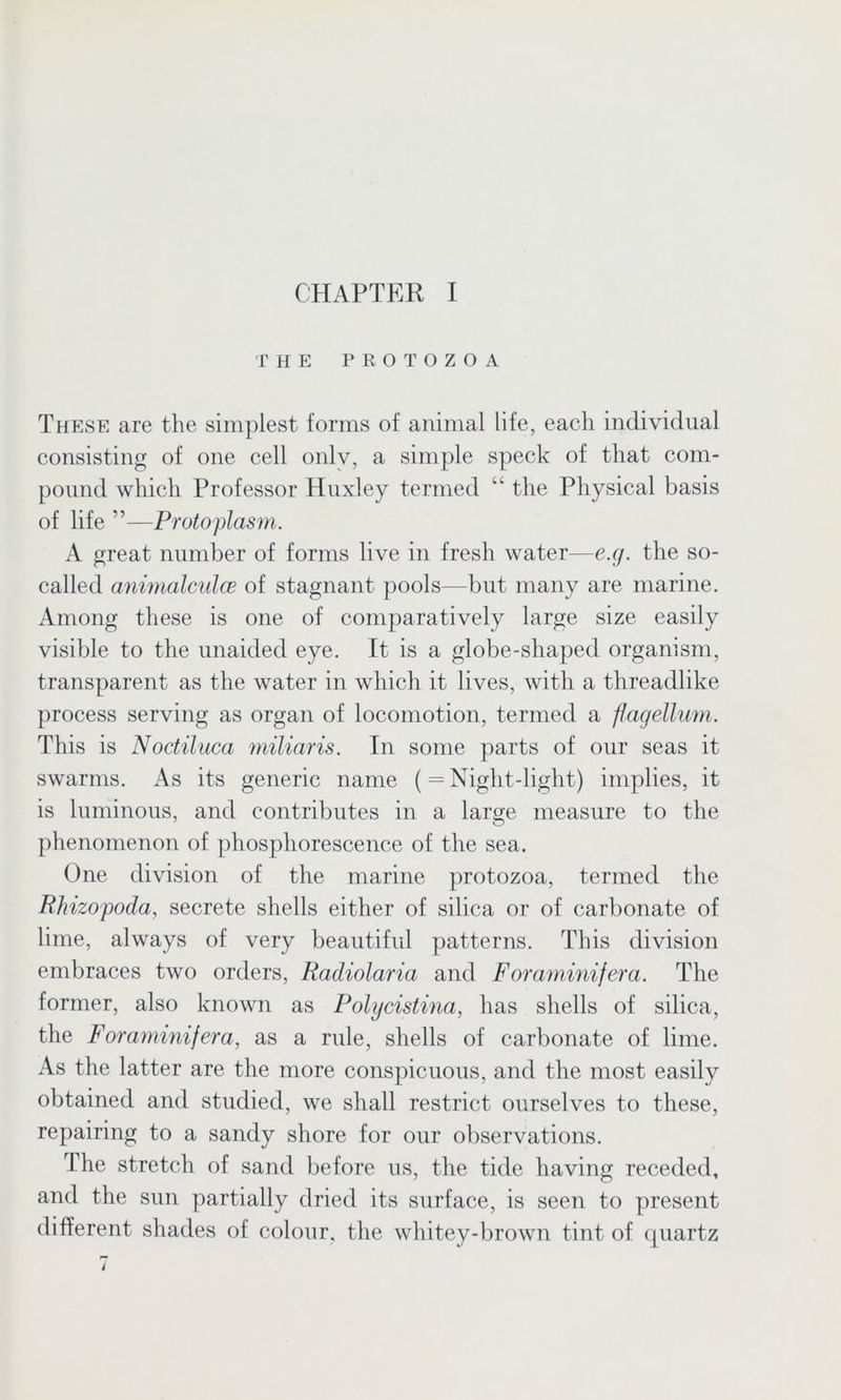 CHAPTER I THE PROTOZOA These are the simplest forms of animal life, each individual consisting of one cell only, a simple speck of that com- pound which Professor Huxley termed “ the Physical basis of life ”—Protoplasm. A great number of forms live in fresh water—e.g. the so- called animalcules of stagnant pools—but many are marine. Among these is one of comparatively large size easily visible to the unaided eye. It is a globe-shaped organism, transparent as the water in which it lives, with a threadlike process serving as organ of locomotion, termed a flagellum. This is Noctiluca miliaris. In some parts of our seas it swarms. As its generic name (= Night-light) implies, it is luminous, and contributes in a large measure to the phenomenon of phosphorescence of the sea. One division of the marine protozoa, termed the Rhizopoda, secrete shells either of silica or of carbonate of lime, always of very beautiful patterns. This division embraces two orders, Radiolaria and Foraminifera. The former, also known as Polycistina, has shells of silica, the Foraminifera, as a rule, shells of carbonate of lime. As the latter are the more conspicuous, and the most easily obtained and studied, we shall restrict ourselves to these, repairing to a sandy shore for our observations. The stretch of sand before us, the tide having receded, and the sun partially dried its surface, is seen to present different shades of colour, the whitey-brown tint of quartz