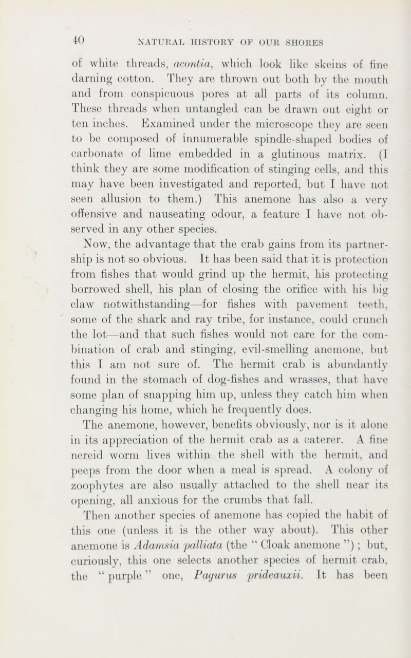 of white threads, ncontia, which look like skeins of fine darning cotton. They are thrown out both by the mouth and from conspicuous pores at all parts of its column. These threads when untangled can be drawn out eight or ten inches. Examined under the microscope they are seen to be composed of innumerable spindle-shaped bodies of carbonate of lime embedded in a glutinous matrix. (I think they are some modification of stinging cells, and this may have been investigated and reported, but I have not seen allusion to them.) This anemone has also a very offensive and nauseating odour, a feature I have not ob- served in any other species. Now, the advantage that the crab gains from its partner- ship is not so obvious. It has been said that it is protection from fishes that would grind up the hermit, his protecting borrowed shell, his plan of closing the orifice with his big claw notwithstanding—for fishes with pavement teeth, some of the shark and ray tribe, for instance, could crunch the lot—and that such fishes would not care for the com- bination of crab and stinging, evil-smelling anemone, but this I am not sure of. The hermit crab is abundantly found in the stomach of dog-fishes and wrasses, that have some plan of snapping him up, unless they catch him when changing his home, which he frequently does. The anemone, however, benefits obviously, nor is it alone in its appreciation of the hermit crab as a caterer. A fine nereid worm lives within the shell with the hermit, and peeps from the door when a meal is spread. A colony of zoophytes are also usually attached to the shell near its opening, all anxious for the crumbs that fall. Then another species of anemone has copied the habit of this one (unless it is the other way about). This other anemone is Adamsia palliata (the “ Cloak anemone ”); but, curiously, this one selects another species of hermit crab, the “ purple ” one, Pagurus prideauxii. It has been