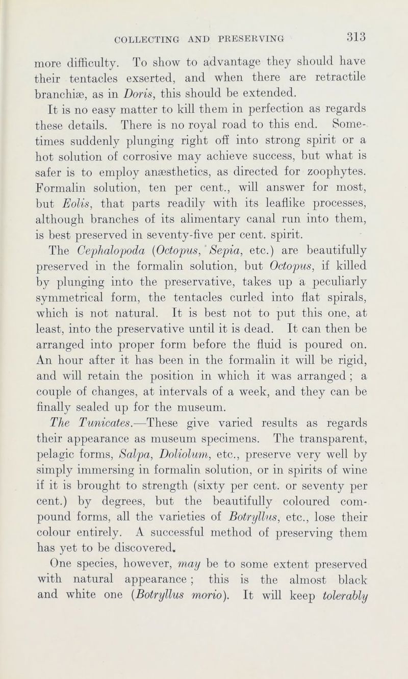 more difficulty. To show to advantage they should have their tentacles exserted, and when there are retractile branchiae, as in Doris, this should be extended. It is no easy matter to kill them in perfection as regards these details. There is no royal road to this end. Some- times suddenly plunging right off into strong spirit or a hot solution of corrosive may achieve success, but what is safer is to employ anaesthetics, as directed for zoophytes. Formalin solution, ten per cent., will answer for most, but Eolis, that parts readily with its leaflike processes, although branches of its alimentary canal run into them, is best preserved in seventy-five per cent, spirit. The Cephalopoda (Octopus, Sepia, etc.) are beautifully preserved in the formalin solution, but Octopus, if killed by plunging into the preservative, takes up a peculiarly symmetrical form, the tentacles curled into flat spirals, which is not natural. It is best not to put this one, at least, into the preservative until it is dead. It can then be arranged into proper form before the fluid is poured on. An hour after it has been in the formalin it will be rigid, and will retain the position in which it was arranged ; a couple of changes, at intervals of a week, and they can be finally sealed up for the museum. The Tunicates.—These give varied results as regards their appearance as museum specimens. The transparent, pelagic forms, Sal pa, Doliolum, etc., preserve very well by simply immersing in formalin solution, or in spirits of wine if it is brought to strength (sixty per cent, or seventy per cent.) by degrees, but the beautifully coloured com- pound forms, all the varieties of Botryllus, etc., lose their colour entirely. A successful method of preserving them has yet to be discovered. One species, however, may be to some extent preserved with natural appearance ; this is the almost black and white one (Botryllus morio). It will keep tolerably