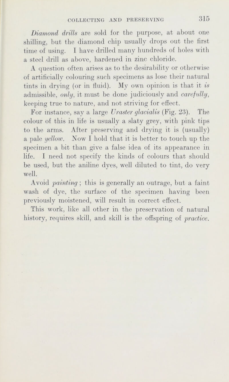 Diamond drills are sold for the purpose, at about one shilling, but the diamond chip usually drops out the first time of using. I have drilled many hundreds of holes with a steel drill as above, hardened in zinc chloride. A question often arises as to the desirability or otherwise of artificially colouring such specimens as lose their natural tints in drying (or in fluid). My own opinion is that it is admissible, only, it must be done judiciously and carefully, keeping true to nature, and not striving for effect. For instance, say a large Uraster glacialis (Fig. 23). The colour of this in life is usually a slaty grey, with pink tips to the arms. After preserving and drying it is (usually) a pale yellow. Now I hold that it is better to touch up the specimen a bit than give a false idea of its appearance in life. I need not specify the kinds of colours that should be used, but the aniline dyes, well diluted to tint, do very well. Avoid painting ; this is generally an outrage, but a faint wash of dye, the surface of the specimen having been previously moistened, will result in correct effect. This work, like all other in the preservation of natural history, requires skill, and skill is the offspring of practice.