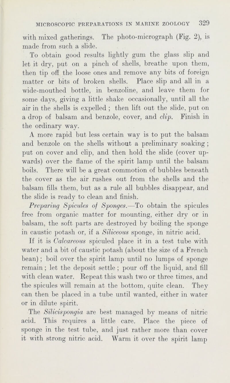 with mixed gatherings. The photo-micrograph (Tig. 2), is made from such a slide. To obtain good results lightly gum the glass slip and let it dry, put on a pinch of shells, breathe upon them, then tip off the loose ones and remove any bits of foreign matter or bits of broken shells. Place slip and all in a wide-mouthed bottle, in benzoline, and leave them for some days, giving a little shake occasionally, until all the air in the shells is expelled ; then lift out the slide, put on a drop of balsam and benzole, cover, and clip. Finish in the ordinary way. A more rapid but less certain way is to put the balsam and benzole on the shells without a preliminary soaking ; put on cover and clip, and then hold the slide (cover up- wards) over the flame of the spirit lamp until the balsam boils. There will be a great commotion of bubbles beneath the cover as the air rushes out from the shells and the balsam fills them, but as a rule all bubbles disappear, and the slide is ready to clean and finish. Preparing Spicules of Sponges.—To obtain the spicules free from organic matter for mounting, either dry or in balsam, the soft parts are destroyed by boiling the sponge in caustic potash or, if a Siliceous sponge, in nitric acid. If it is Calcareous spiculed place it in a test tube with water and a bit of caustic potash (about the size of a French bean); boil over the spirit lamp until no lumps of sponge remain; let the deposit settle ; pour off the liquid, and fill with clean water. Repeat this wash two or three times, and the spicules will remain at the bottom, quite clean. They can then be placed in a tube until wanted, either in water or in dilute spirit. The Silicispongia are best managed by means of nitric acid. This requires a little care. Place the piece of sponge in the test tube, and just rather more than cover it with strong nitric acid. Warm it over the spirit lamp