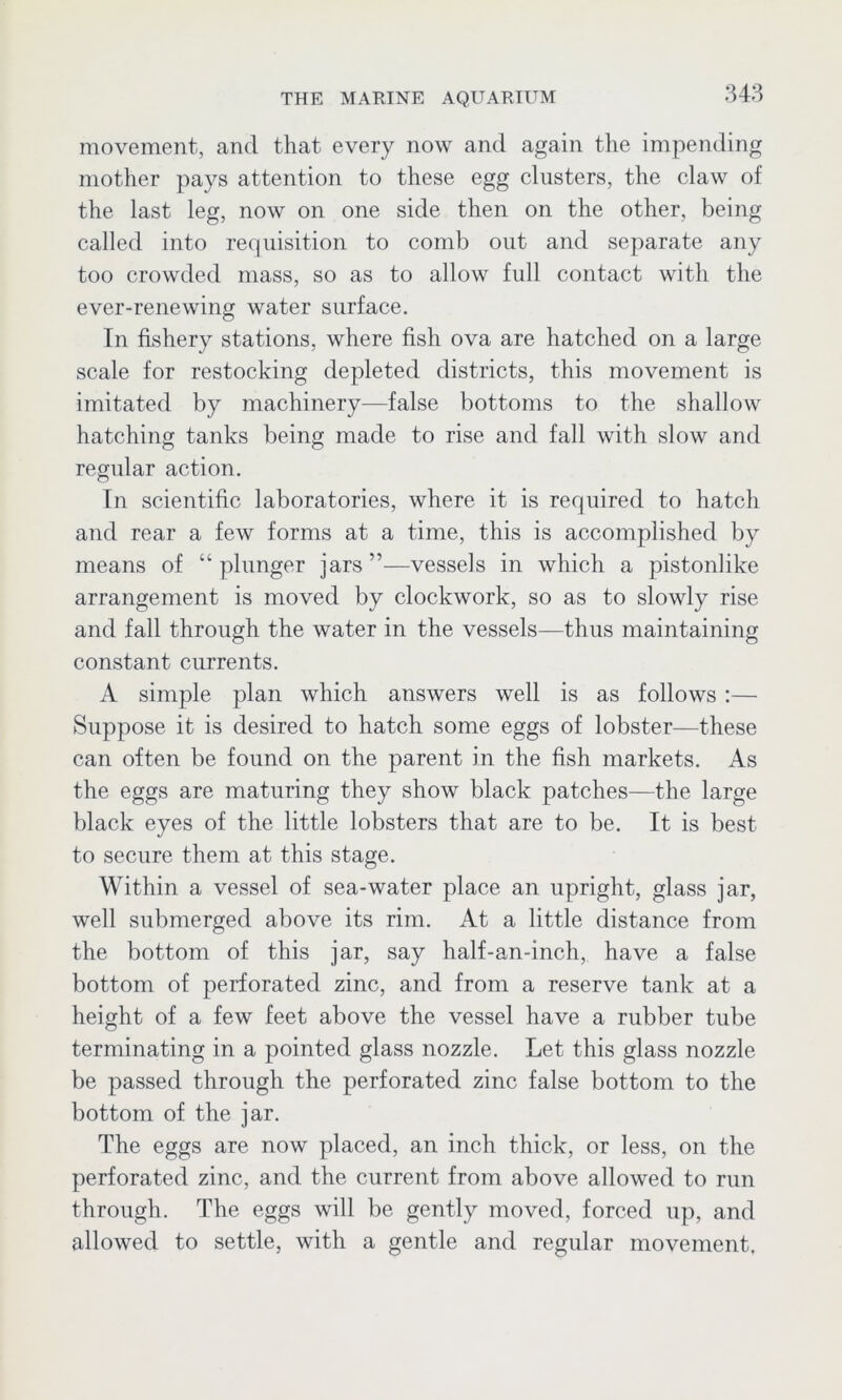 movement, and that every now and again the impending mother pays attention to these egg clusters, the claw of the last leg, now on one side then on the other, being called into requisition to comb out and separate any too crowded mass, so as to allow full contact with the ever-renewing water surface. In fishery stations, where fish ova are hatched on a large scale for restocking depleted districts, this movement is imitated by machinery—false bottoms to the shallow hatching tanks being made to rise and fall with slow and regular action. In scientific laboratories, where it is required to hatch and rear a few forms at a time, this is accomplished by means of “ plunger jars ”—vessels in which a pistonlike arrangement is moved by clockwork, so as to slowly rise and fall through the water in the vessels—thus maintaining constant currents. A simple plan which answers well is as follows:— Suppose it is desired to hatch some eggs of lobster—these can often be found on the parent in the fish markets. As the eggs are maturing they show black patches—the large black eyes of the little lobsters that are to be. It is best to secure them at this stage. Within a vessel of sea-water place an upright, glass jar, well submerged above its rim. At a little distance from the bottom of this jar, say half-an-inch, have a false bottom of perforated zinc, and from a reserve tank at a height of a few feet above the vessel have a rubber tube terminating in a pointed glass nozzle. Let this glass nozzle be passed through the perforated zinc false bottom to the bottom of the jar. The eggs are now placed, an inch thick, or less, on the perforated zinc, and the current from above allowed to run through. The eggs will be gently moved, forced up, and allowed to settle, with a gentle and regular movement.