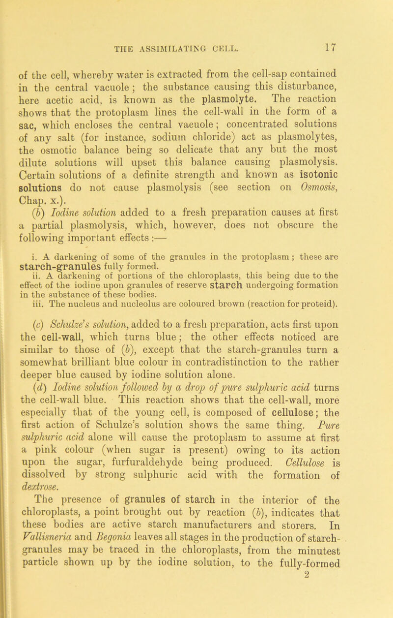 of the cell, whereby water is extracted from the cell-sap contained in the central vacuole; the substance causing this disturbance, here acetic acid, is known as the plasmolyte. The reaction shows that the protoplasm lines the cell-wall in the form of a sac, which encloses the central vacuole; concentrated solutions of any salt (for instance, sodium chloride) act as plasmolytes, the osmotic balance being so delicate that any but the most dilute solutions will upset this balance causing plasmolysis. Certain solutions of a definite strength and known as isotonic solutions do not cause plasmolysis (see section on Osmosis, Chap. x.). (b) Iodine solution added to a fresh preparation causes at first a partial plasmolysis, which, however, does not obscure the following important effects :— i. A darkening of some of the granules in the protoplasm ; these are starch-granules fully formed. ii. A darkening of portions of the chloroplasts, this being due to the effect of the iodine upon granules of reserve Starch undergoing formation in the substance of these bodies. iii. The nucleus and nucleolus are coloured brown (reaction for proteid). (e) Schulze’s solution, added to a fresh preparation, acts first upon the cell-wall, which turns blue; the other effects noticed are similar to those of ('b), except that the starch-granules turn a somewhat brilliant blue colour in contradistinction to the rather deeper blue caused by iodine solution alone. (d) Iodine solution followed by a drop of pure sulphuric acid turns the cell-wall blue. This reaction shows that the cell-wall, more especially that of the young cell, is composed of cellulose; the first action of Schulze’s solution shows the same thing. Pure sulphuric acid alone will cause the protoplasm to assume at first a pink colour (when sugar is present) owing to its action upon the sugar, furfuraldehyde being produced. Cellulose is dissolved by strong sulphuric acid with the formation of dextrose. The presence of granules of starch in the interior of the chloroplasts, a point brought out by reaction (£), indicates that these bodies are active starch manufacturers and storers. In Vallisneria and Begonia leaves all stages in the production of starch- granules may be traced in the chloroplasts, from the minutest particle shown up by the iodine solution, to the fully-formed 2