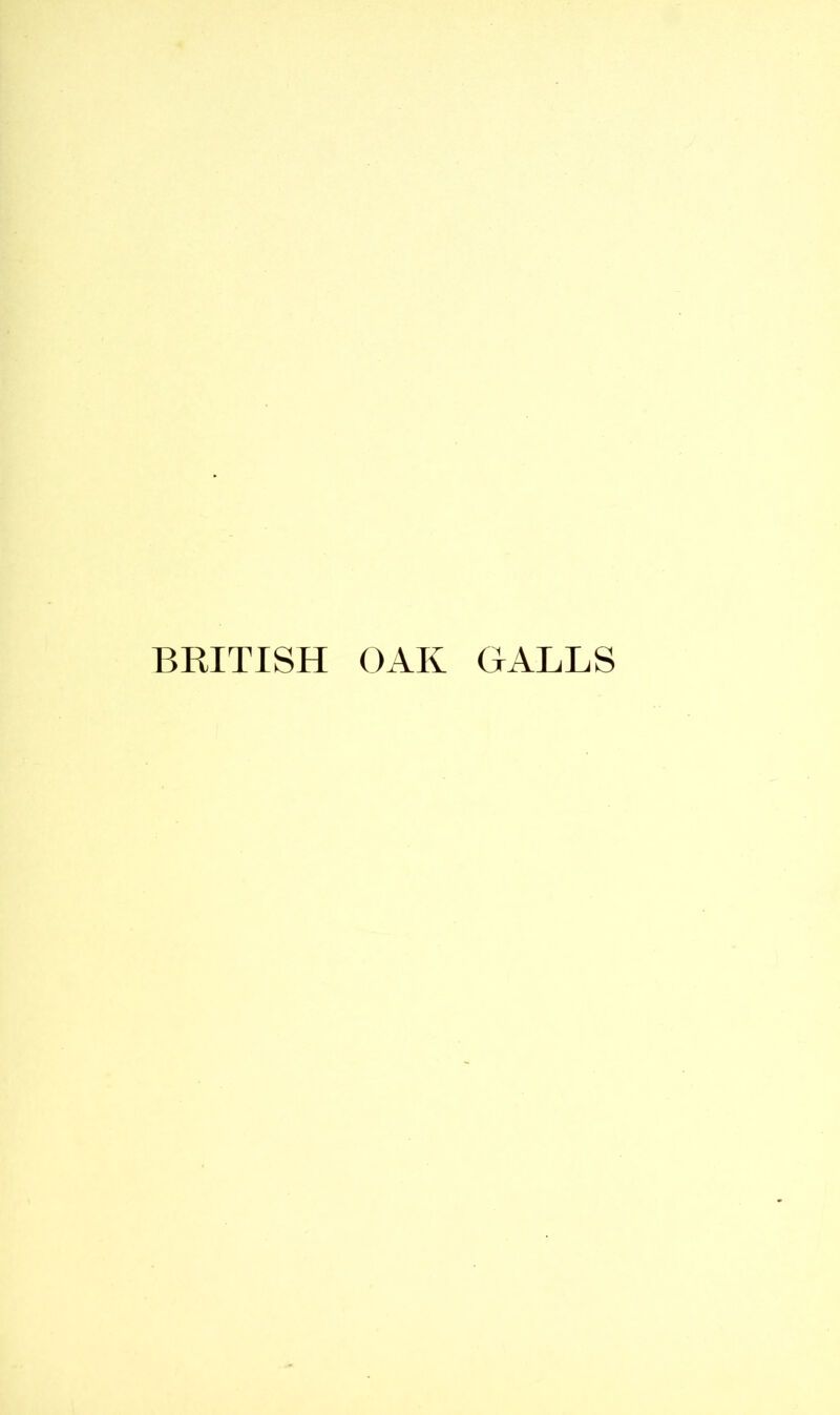 BRITISH OAK GALLS