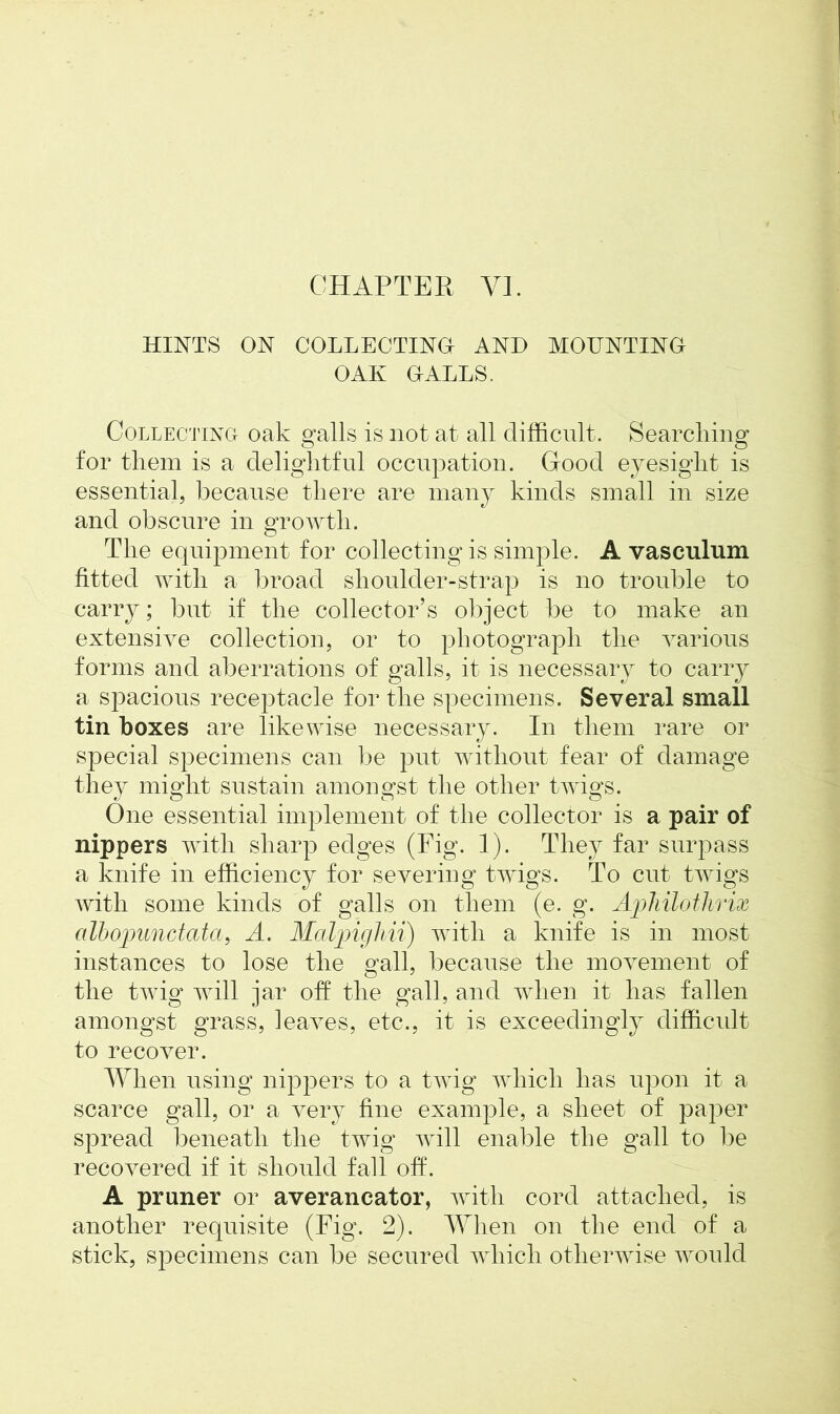 HINTS ON COLLECTING AND MOUNTING OAK GALLS. Collecting oak galls is not at all difficult. Searching for them is a delightful occupation. Good eyesight is essential, because there are many kinds small in size and obscure in growth. The equipment for collecting is simple. A vasculum fitted with a broad shoulder-strap is no trouble to carry; but if the collector’s object be to make an extensive collection, or to photograph the various forms and aberrations of galls, it is necessary to carry a spacious receptacle for the specimens. Several small tin boxes are likewise necessary. In them rare or special specimens can be put without fear of damage they might sustain amongst the other twigs. One essential implement of the collector is a pair of nippers with sharp edges (Fig. 1). They far surpass a knife in efficiency for severing twigs. To cut twigs with some kinds of galls on them (e. g. Ajohilothrix albojoundata, A. Maljoighii) with a knife is in most instances to lose the gall, because the movement of the twig will jar off the gall, and when it has fallen amongst grass, leaves, etc., it is exceedingly difficult to recover. When using nippers to a twig which lias upon it a scarce gall, or a very fine example, a sheet of paper spread beneath the twig will enable the gall to be recovered if it should fall off. A pruner or averancator, with cord attached, is another requisite (Fig. 2). When on the end of a stick, specimens can be secured which otherwise would