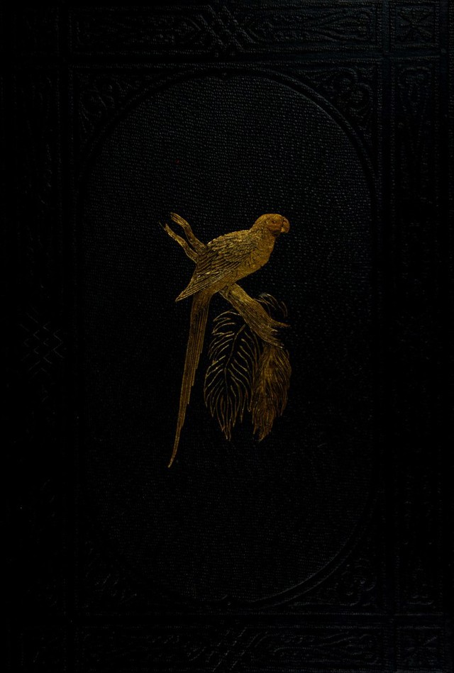 No text description is available for this image