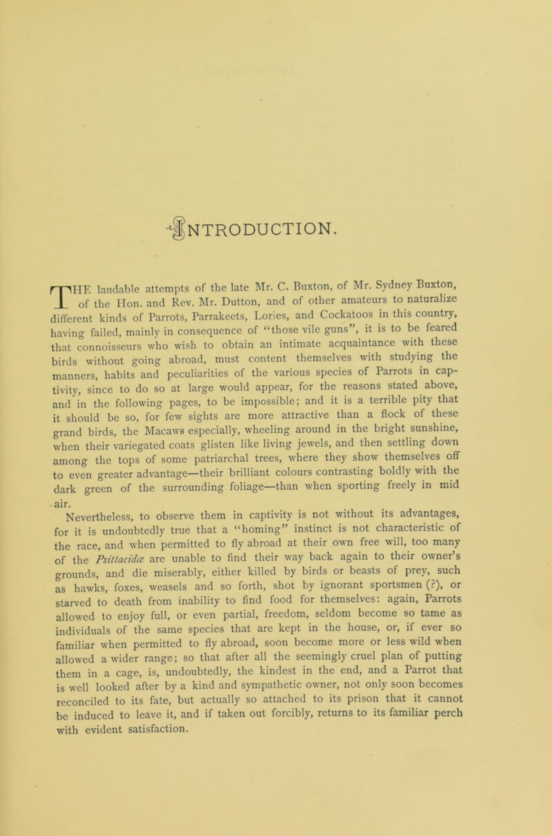 HE laudable attempts of the late Mr. C. Buxton, of Mr. Sydney Buxton, of the Hon. and Rev. Mr. Dutton, and of other amateurs to naturalize different kinds of Parrots, Parrakeets, Lories, and Cockatoos in this country, having failed, mainly in consequence of “those vile guns”, it is to be feared that connoisseurs who wish to obtain an intimate acquaintance with these birds without going abroad, must content themselves with studying the manners, habits and peculiarities of the various species of Parrots in cap- tivity, since to do so at large would appear, for the reasons stated above, and in the following pages, to be impossible; and it is a terrible pity that it should be so, for few sights are more attractive than a flock of these grand birds, the Macaws especially, wheeling around in the bright sunshine, when their variegated coats glisten like living jewels, and then settling down among the tops of some patriarchal trees, where they show themselves off to even greater advantage—their brilliant colours contrasting boldly with the dark green of the surrounding foliage—than when sporting freely in mid Nevertheless, to observe them in captivity is not without its advantages, for it is undoubtedly true that a “homing” instinct is not characteristic of the race, and when permitted to fly abroad at their own free will, too many of the PsittacidcE are unable to find their way back again to their owner’s grounds, and die miserably, either killed by birds or beasts of prey, such as hawks, foxes, weasels and so forth, shot by ignorant sportsmen (?), or starved to death from inability to find food for themselves: again, Parrots allowed to enjoy full, or even partial, freedom, seldom become so tame as individuals of the same species that are kept in the house, or, if ever so familiar when permitted to fly abroad, soon become more or less wild when allowed a wider range; so that after all the seemingly cruel plan of putting them in a cage, is, undoubtedly, the kindest in the end, and a Parrot that is well looked after by a kind and sympathetic owner, not only soon becomes reconciled to its fate, but actually so attached to its prison that it cannot be induced to leave it, and if taken out forcibly, returns to its familiar perch with evident satisfaction. air
