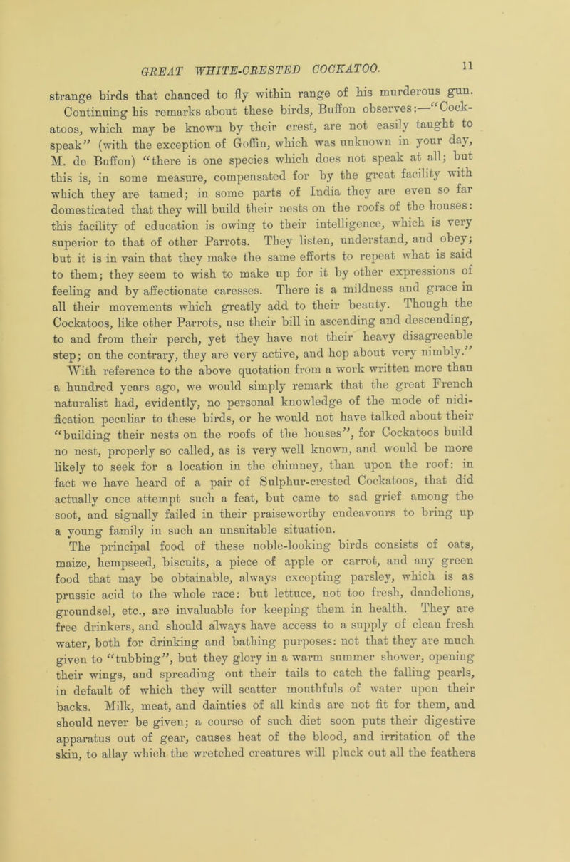 strange birds that chanced to fly within range of his murdeious gnn. Continuing his remarks about these birds, Buffon observes: Cock- atoos, which may be known by their crest, are not easily taught to speak” (with the exception of Goffin, which was unknown in your day, M. de Buffon) “there is one species which does not speak at all; but this is, in some measure, compensated for by the great facility vith which they are tamed; in some parts of India they are even so far domesticated that they will build their nests on the roofs of the houses. this facility of education is owing to their intelligence, which is very superior to that of other Parrots. They listen, understand, and obey; but it is in vain that they make the same efforts to repeat what is said to them; they seem to wish to make up for it by other expressions of feeling and by affectionate caresses. There is a mildness and grace in all their movements which greatly add to their beauty. Though the Cockatoos, like other Parrots, use their bill in ascending and descending, to and from their perch, yet they have not their heavy disagreeable step; on the contrary, they are very active, and hop about very nimbly. With reference to the above quotation from a work written more than a hundred years ago, we would simply remark that the great I rench naturalist had, evidently, no personal knowledge of the mode of nidi- fication peculiar to these birds, or he would not have talked about their “building their nests on the roofs of the houses”, for Cockatoos build no nest, properly so called, as is very well known, and would be more likely to seek for a location in the chimney, than upon the roof: in fact we have heard of a pair of Sulphur-crested Cockatoos, that did actually once attempt such a feat, but came to sad grief among the soot, and signally failed in their praiseworthy endeavours to bring up a young family in such an unsuitable situation. The principal food of these noble-looking birds consists of oats, maize, hempseed, biscuits, a piece of apple or carrot, and any green food that may be obtainable, always excepting parsley, which is as prussic acid to the whole race: but lettuce, not too fresh, dandelions, groundsel, etc., are invaluable for keeping them in health. They are free drinkers, and should always have access to a supply of cleau fresh water, both for drinking and bathing purposes: not that they are much given to “tubbing”, but they glory in a warm summer shower, opening their wings, and spreading out their tails to catch the falling pearls, in default of which they will scatter mouthfuls of water upon their backs. Milk, meat, and dainties of all kinds are not fit for them, and should never be given; a course of such diet soon puts their digestive apparatus out of gear, causes heat of the blood, and irritation of the skin, to allay which the wretched creatures will pluck out all the feathers