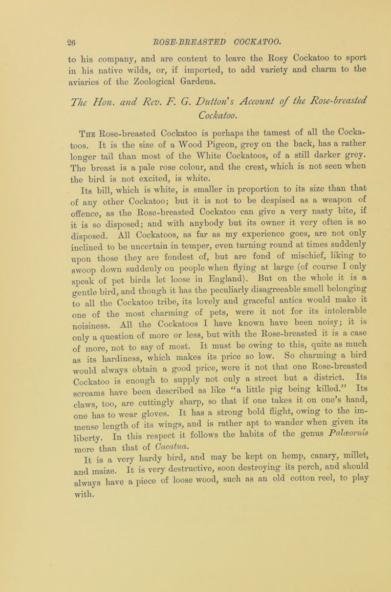 to liis company, and are content to leave the Rosy Cockatoo to sport in his native wilds, or, if imported, to add variety and charm to the aviaries of the Zoological Gardens. The Hon. and Rev. F. G. Dutton's Account of the Rose-breasted Cockatoo. The Rose-breasted Cockatoo is perhaps the tamest of all the Cocka- toos. It is the size of a Wood Pigeon, grey on the back, has a rather longer tail than most of the White Cockatoos, of a still darker grey. The breast is a pale rose colour, and the crest, which is not seen when the bird is not excited, is white. Its bill, which is white, is smaller in proportion to its size than that of any other Cockatoo; but it is not to be despised as a weapon of offence, as the Rose-breasted Cockatoo can give a very nasty bite, if it is so disposed; and with anybody but its owner it very often is so disposed. All Cockatoos, as far as my experience goes, are not only inclined to be uncertain in temper, even turning round at times suddenly upon those they are fondest of, but are foud of mischief, liking to swoop down suddenly on people when flying at large (of course I only speak of pet birds let loose in England). But on the whole it is a gentle bird, and though it has the peculiarly disagreeable smell belonging to all the Cockatoo tribe, its lovely and graceful antics would make it one of the most charming of pets, were it not for its intolerable noisiness. All the Cockatoos I have known have been noisy; it is only a question of more or less, but with the Rose-breasted it is a case of more, not to say of most. It must be owing to this, quite as much as its hardiness, which makes its price so low. So charming a bird would always obtain a good price, were it not that one Rose-breasted Cockatoo is enough to supply not only a street but a district. Its screams have been described as like “a little pig being killed.” Its claws, too, are cuttingly sharp, so that if one takes it on one s hand, one has to wear gloves. It has a strong bold flight, owing to the im- mense length of its wings, and is rather apt to wander when given its liberty. In this respect it follows the habits of the genus Palceornis more than that of Gaccituci. It is a very hardy bird, and may be kept on hemp, canary, millet, and maize. It is very destructive, soon destroying its perch, and should always have a piece of loose wood, such as an old cotton reel, to play with.