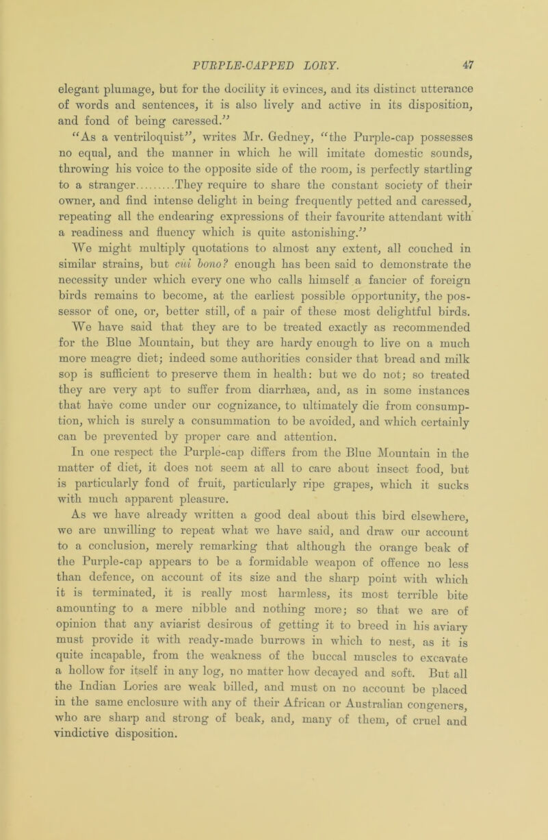 elegant plumage, but for the docility it evinces, and its distinct utterance of words and sentences, it is also lively and active in its disposition, and fond of being caressed/'’ “As a ventriloquist”, writes Mr. Gedney, “the Purple-cap possesses no equal, and the manner in which he will imitate domestic sounds, throwing his voice to the opposite side of the room, is perfectly startling to a stranger They require to share the constant society of their owner, and find intense delight in being frequently petted and caressed, repeating all the endearing expressions of their favourite attendant with a readiness and fluency which is quite astonishing.” We might multiply quotations to almost any extent, all couched in similar strains, but cui bono? enough has been said to demonstrate the necessity under which everyone who calls himself a fancier of foreign birds remains to become, at the earliest possible opportunity, the pos- sessor of one, or, better still, of a pair of these most delightful birds. We have said that they are to be treated exactly as recommended for the Blue Mountain, but they are hardy enough to live on a much more meagre diet; indeed some authorities consider that bread and milk sop is sufficient to preserve them in health: but we do not; so treated they are very apt to suffer from diarrhaea, and, as in some instances that have come under our cognizance, to ultimately die from consump- tion, which is surely a consummation to be avoided, and which certainly can be prevented by proper care and attention. In one respect the Purple-cap differs from the Blue Mountain in the matter of diet, it does not seem at all to care about insect food, but is particularly fond of fruit, particularly ripe grapes, which it sucks with much apparent pleasure. As we have already written a good deal about this bird elsewhere, we are unwilling to repeat what we have said, and draw our account to a conclusion, merely remarking that although the orange beak of the Purple-cap appears to be a formidable weapon of offence no less than defence, on account of its size and the sharp point with which it is terminated, it is really most harmless, its most terrible bite amounting to a mere nibble and nothing more; so that we are of opinion that any aviarist desirous of getting it to breed in his aviary must provide it with ready-made burrows in which to nest, as it is quite incapable, from the weakness of the buccal muscles to excavate a hollow for itself in any log, no matter how decayed and soft. But all the Indian Lories are weak billed, and must on no account be placed in the same enclosure with any of their African or Australian congeners, who are sharp and strong of beak, and, many of them, of cruel and vindictive disposition.