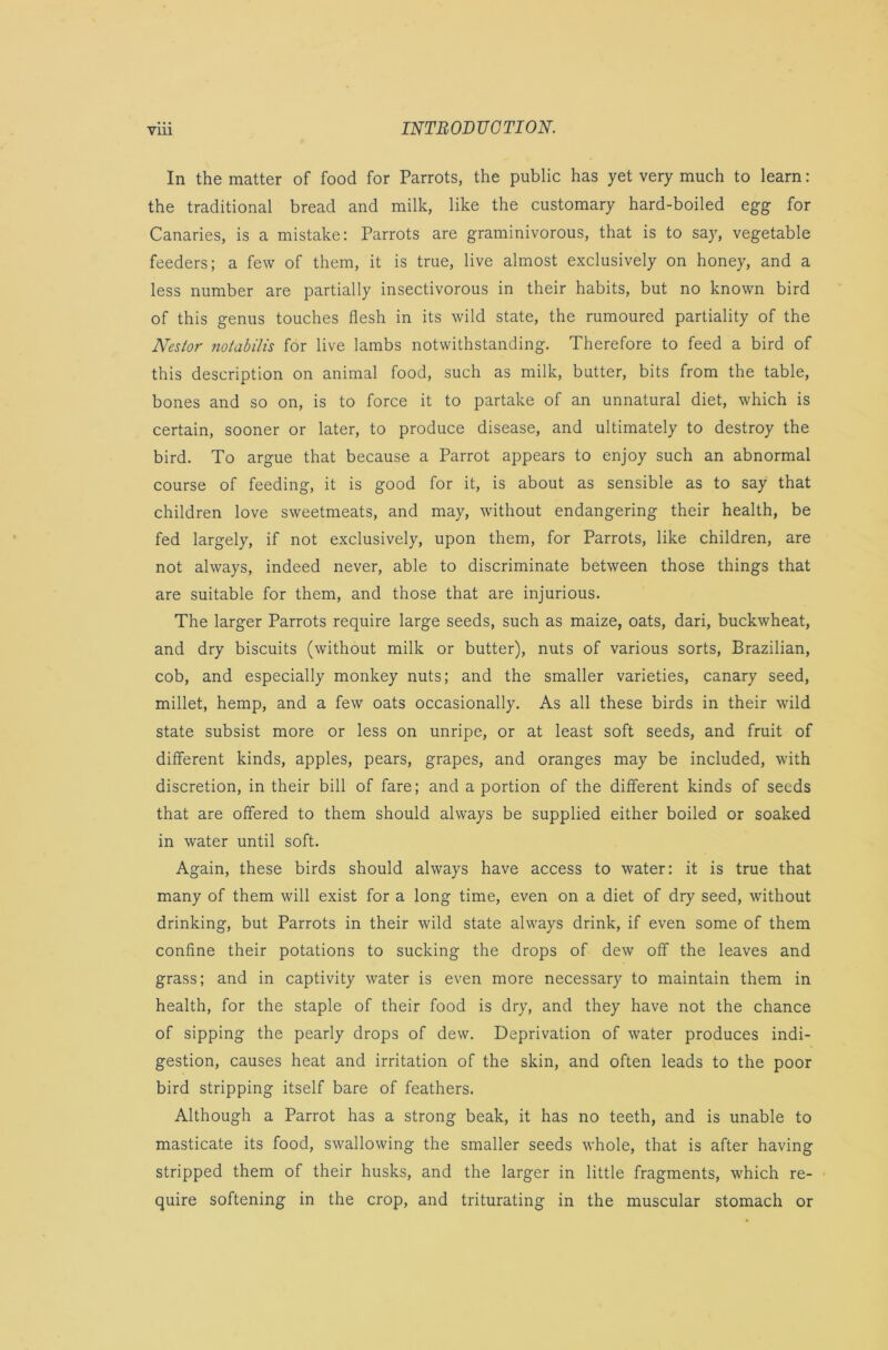 In the matter of food for Parrots, the public has yet very much to learn: the traditional bread and milk, like the customary hard-boiled egg for Canaries, is a mistake: Parrots are graminivorous, that is to say, vegetable feeders; a few of them, it is true, live almost exclusively on honey, and a less number are partially insectivorous in their habits, but no known bird of this genus touches flesh in its wild state, the rumoured partiality of the Nestor notabilis for live lambs notwithstanding. Therefore to feed a bird of this description on animal food, such as milk, butter, bits from the table, bones and so on, is to force it to partake of an unnatural diet, which is certain, sooner or later, to produce disease, and ultimately to destroy the bird. To argue that because a Parrot appears to enjoy such an abnormal course of feeding, it is good for it, is about as sensible as to say that children love sweetmeats, and may, without endangering their health, be fed largely, if not exclusively, upon them, for Parrots, like children, are not always, indeed never, able to discriminate between those things that are suitable for them, and those that are injurious. The larger Parrots require large seeds, such as maize, oats, dari, buckwheat, and dry biscuits (without milk or butter), nuts of various sorts, Brazilian, cob, and especially monkey nuts; and the smaller varieties, canary seed, millet, hemp, and a few oats occasionally. As all these birds in their wild state subsist more or less on unripe, or at least soft seeds, and fruit of different kinds, apples, pears, grapes, and oranges may be included, with discretion, in their bill of fare; and a portion of the different kinds of seeds that are offered to them should always be supplied either boiled or soaked in water until soft. Again, these birds should always have access to water: it is true that many of them will exist for a long time, even on a diet of dry seed, without drinking, but Parrots in their wild state always drink, if even some of them confine their potations to sucking the drops of dew off the leaves and grass; and in captivity water is even more necessary to maintain them in health, for the staple of their food is dry, and they have not the chance of sipping the pearly drops of dew. Deprivation of water produces indi- gestion, causes heat and irritation of the skin, and often leads to the poor bird stripping itself bare of feathers. Although a Parrot has a strong beak, it has no teeth, and is unable to masticate its food, swallowing the smaller seeds whole, that is after having stripped them of their husks, and the larger in little fragments, which re- quire softening in the crop, and triturating in the muscular stomach or