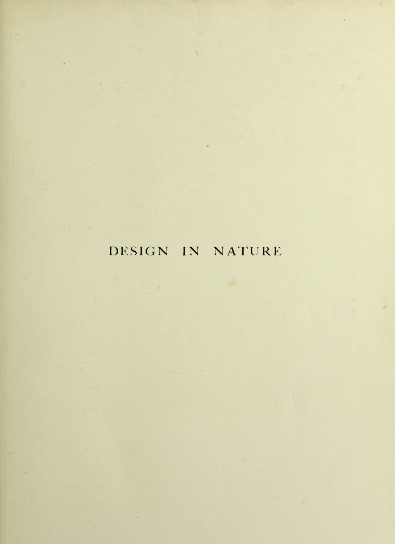 DESIGN IN NATURE