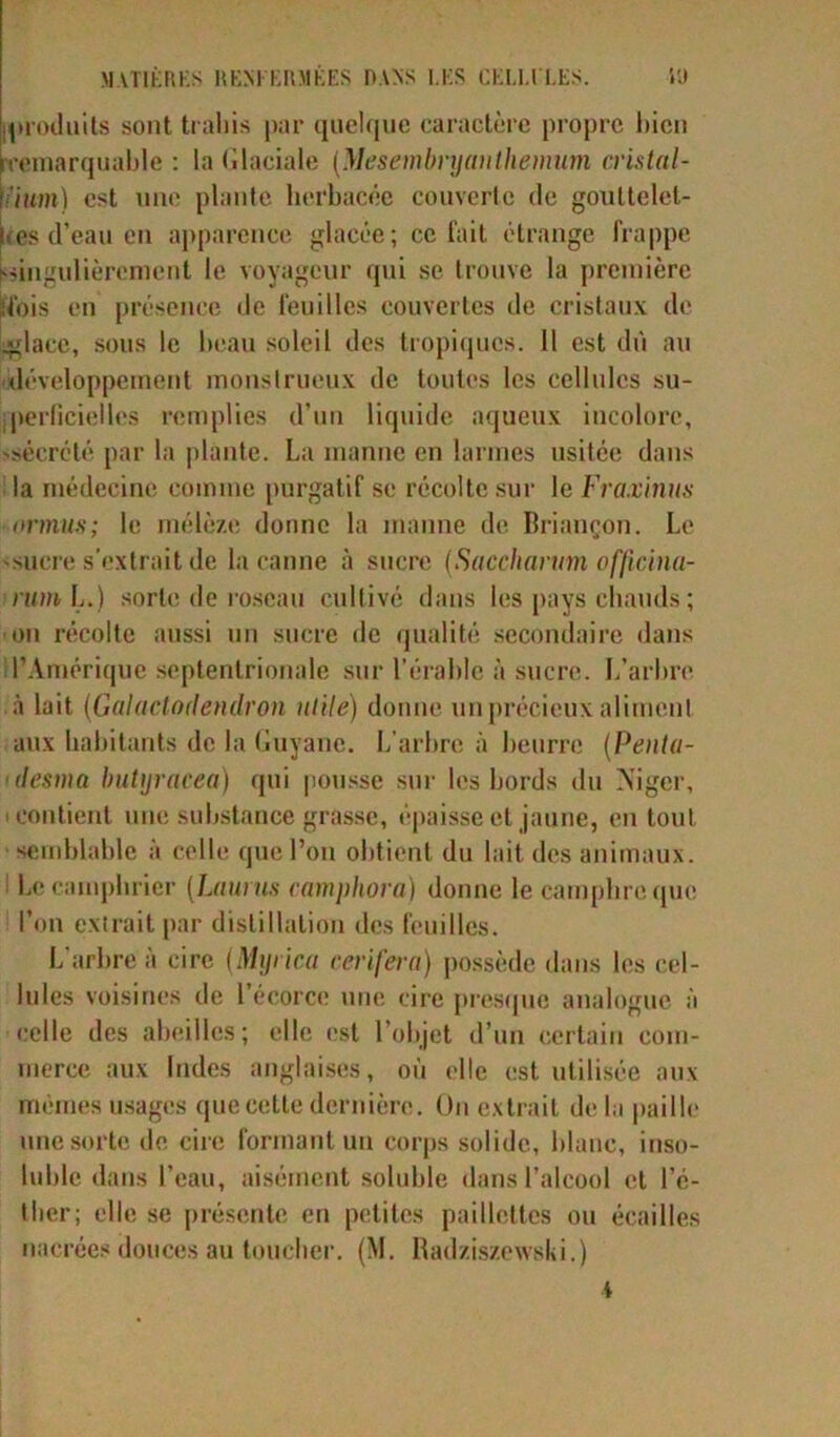 Introduits sont trahis par quelque caractère propre bien rremarquable : la Glaciale (Mesembnjauthemum cristal- tum) est une plante herbacée couverte de gouttelet- tes d’eau eu apparence glacée; ce fait étrange frappe singulièrement le voyageur qui se trouve la première Mois en présence de feuilles couvertes de cristaux de .glace, sous le beau soleil des tropiques. Il est dû au développement monstrueux de toutes les cellules su- perficielles remplies d’un liquide aqueux incolore, 'sécrété par la plante. La manne en larmes usitée dans la médecine comme purgatif se récolte sur le Fraxinus ormus; le mélèze donne la manne de Briançon. Le sucre s’extrait de la canne à sucre (Saccharum officina- rum L.) sorte de roseau cultivé dans les pays chauds ; on récolte aussi un sucre de qualité secondaire dans l’Amérique septentrionale sur l’érable à sucre. L’arbre à lait (Galactodendron utile) donne un précieux aliment aux habitants de la Guyane. L’arbre à beurre (Penta- desma butyracea) qui pousse sur les bords du Niger, contient une substance grasse, épaisse et jaune, en tout semblable à celle que l’on obtient du lait des animaux. I Le camphrier (Laurtis camphora) donne le camphre que l’on extrait par distillation des feuilles. L'arbre à cire (Myrica cerifera) possède dans les cel- lules voisines de l’écorce une cire presque analogue à celle des abeilles; elle est l’objet d’un certain com- merce aux Indes anglaises, où elle est utilisée aux mêmes usages que cette dernière. On extrait de la paille une sorte de cire formant un corps solide, blanc, inso- luble dans l’eau, aisément soluble dans l’alcool et l’é- ther; elle se présente en petites paillettes ou écailles nacrées douces au toucher. (M. Radziszewski.)